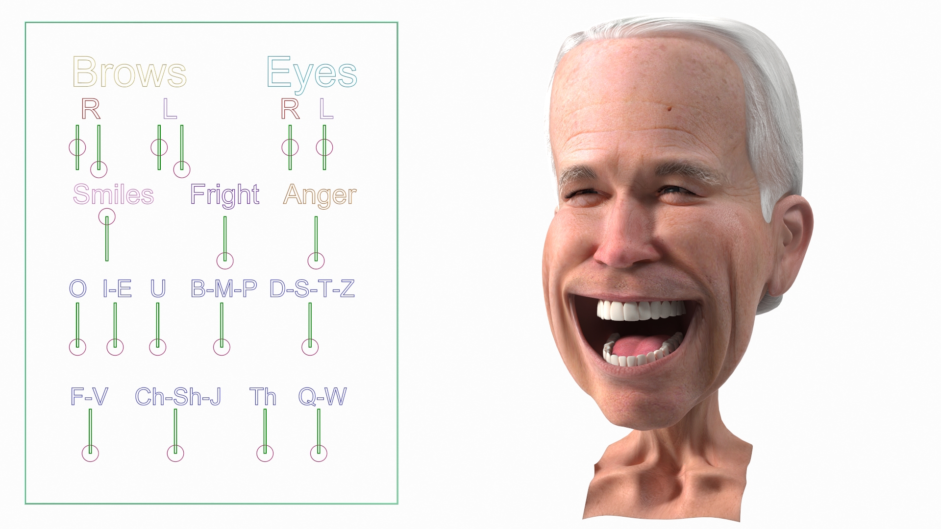Cartoon Joe Biden Head Rigged 3D model