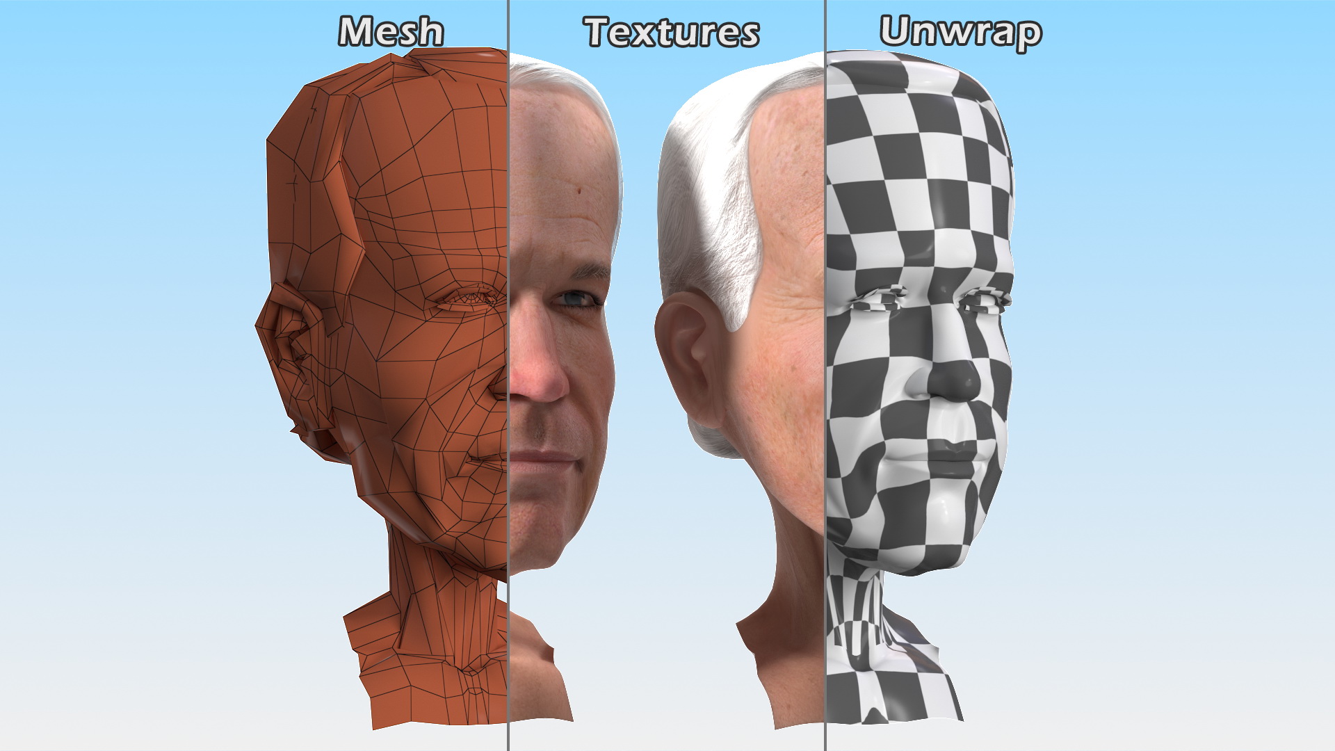 Cartoon Joe Biden Head Rigged 3D model