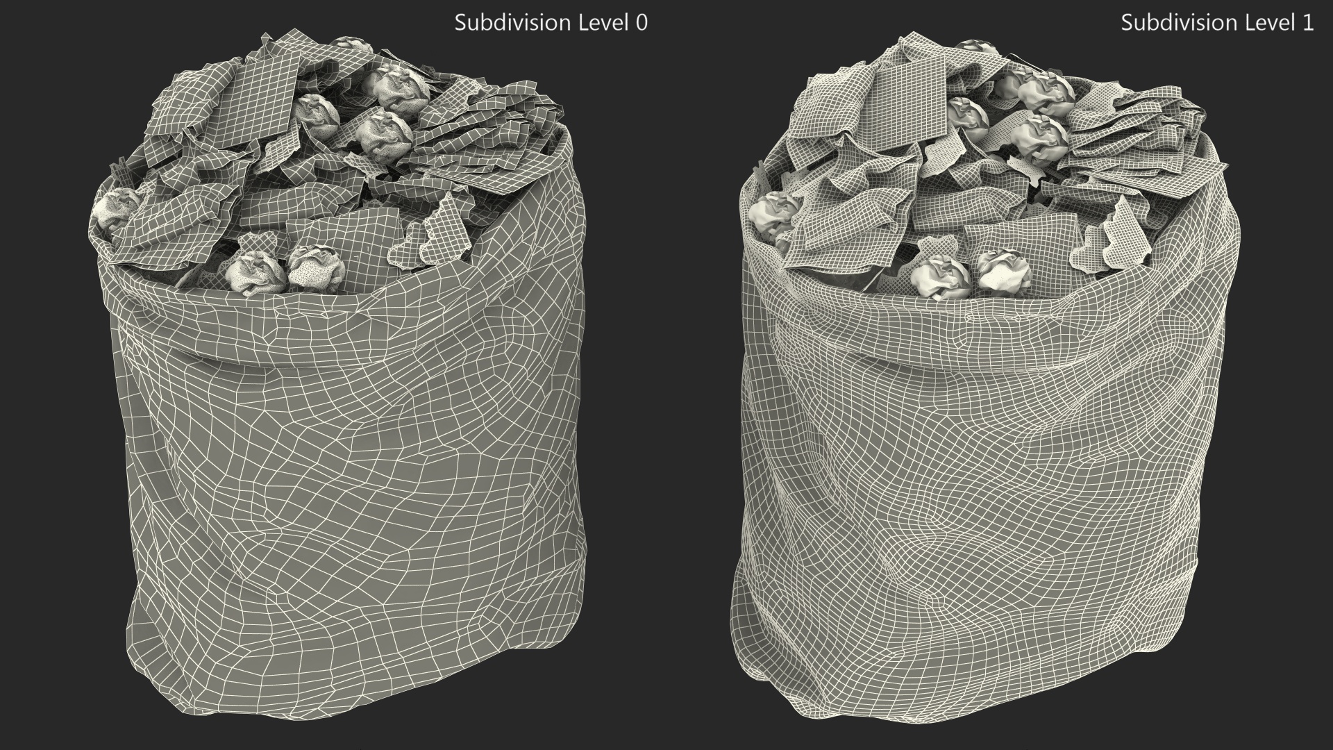 3D Trash Bag Full of Paper model