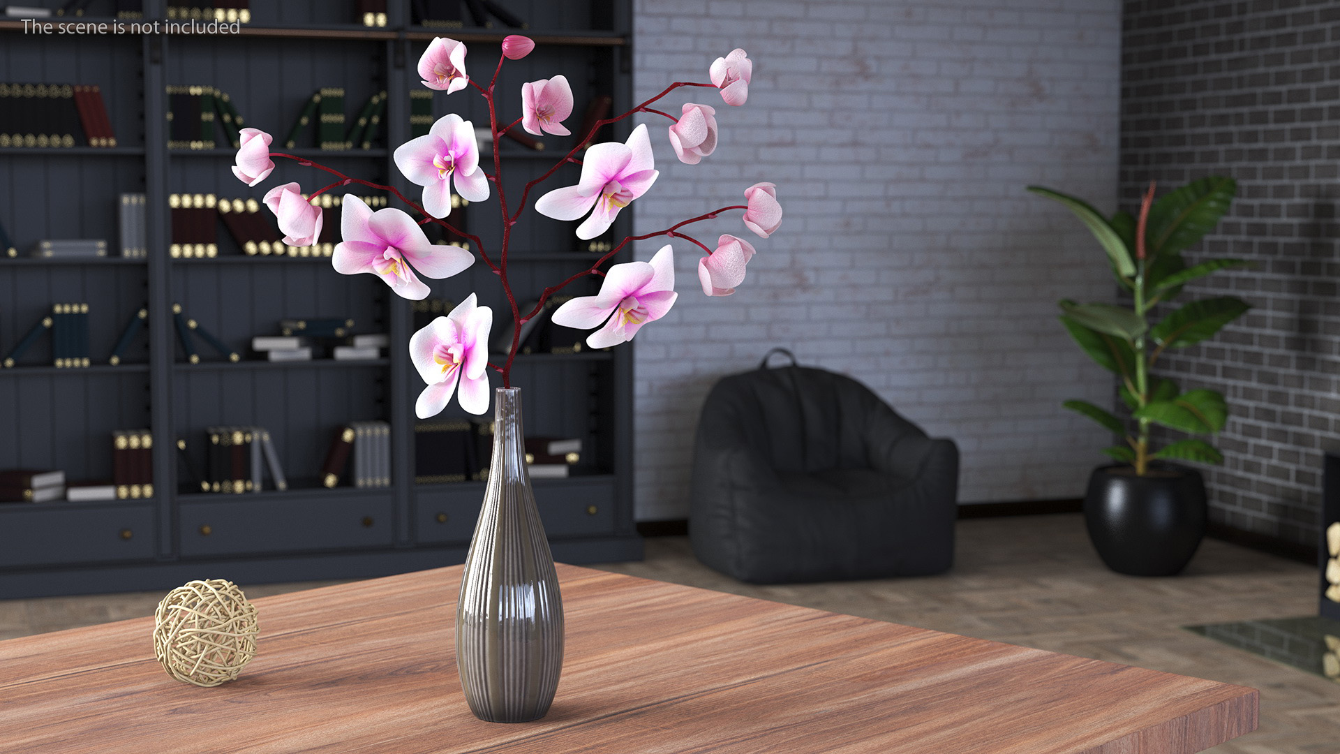 Phalaenopsis Orchid Tall Ceramic Vase 3D