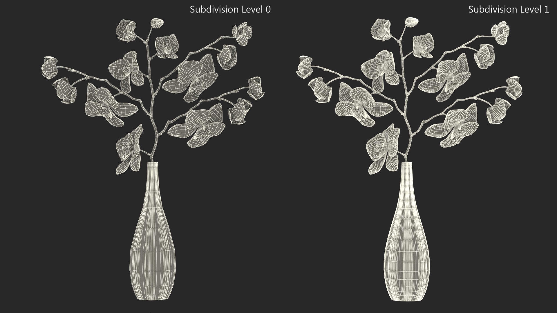 Phalaenopsis Orchid Tall Ceramic Vase 3D