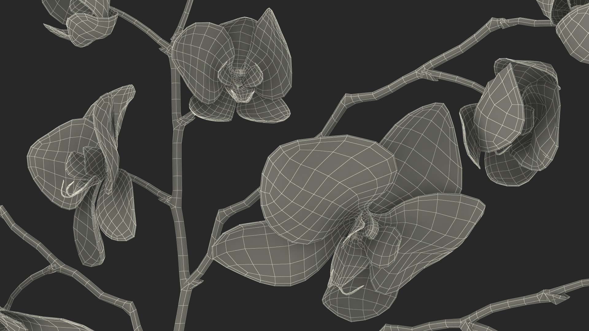 Phalaenopsis Orchid Tall Ceramic Vase 3D