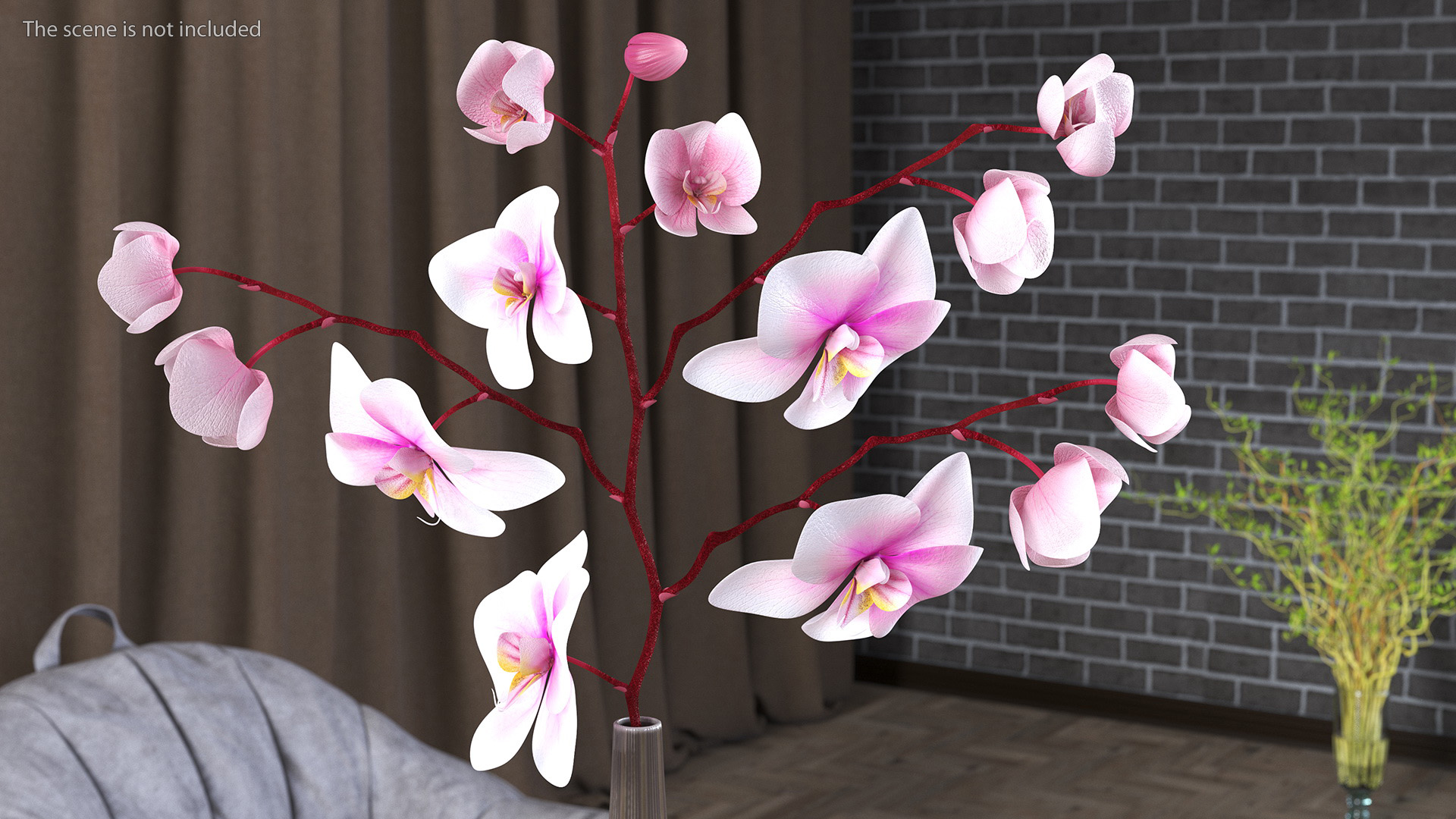 Phalaenopsis Orchid Tall Ceramic Vase 3D