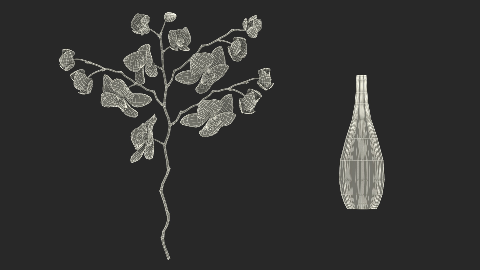 Phalaenopsis Orchid Tall Ceramic Vase 3D