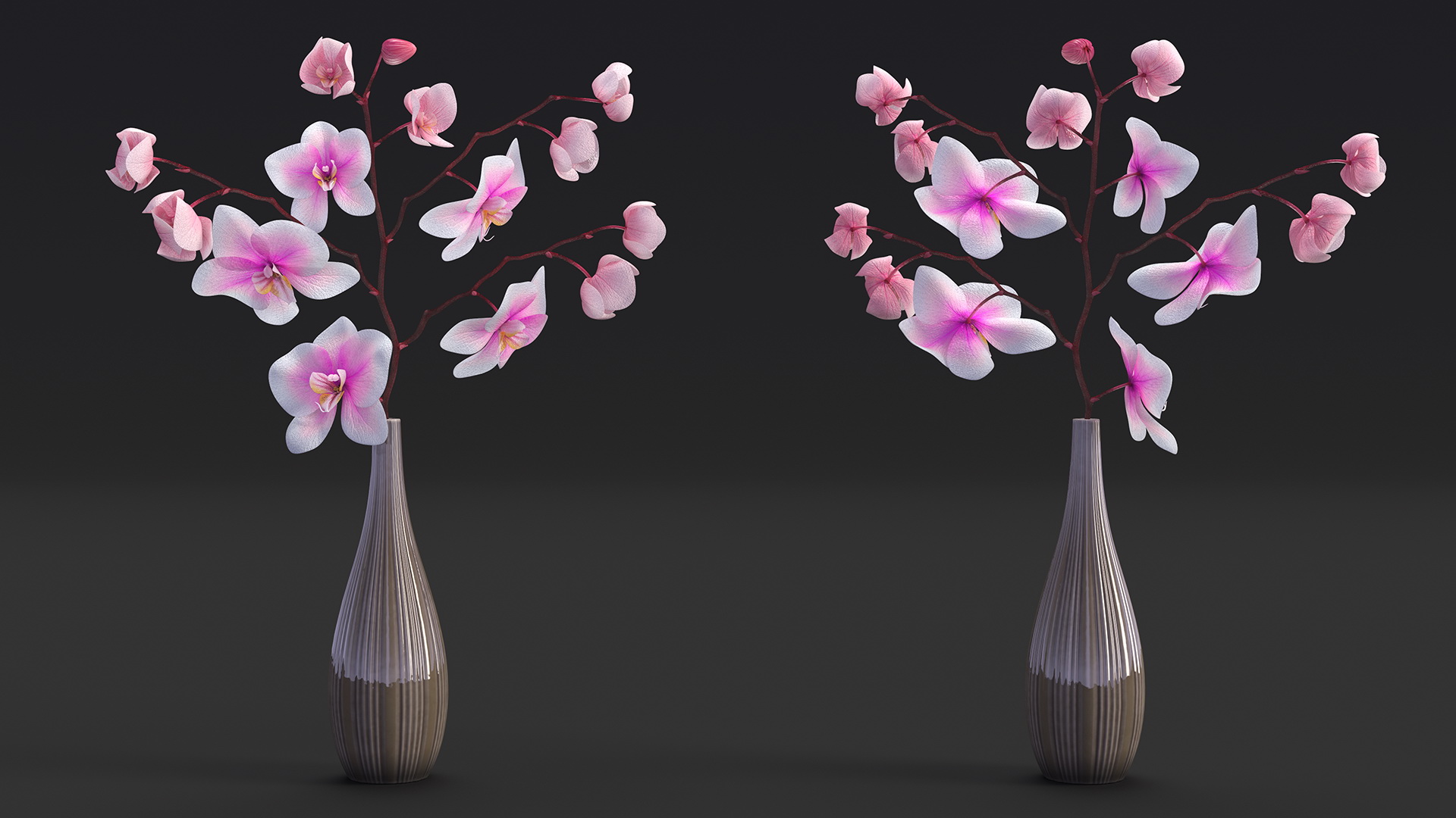 Phalaenopsis Orchid Tall Ceramic Vase 3D