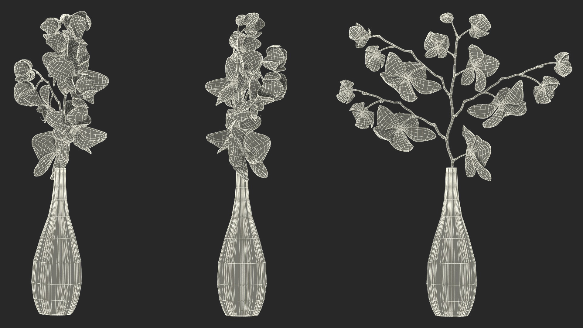 Phalaenopsis Orchid Tall Ceramic Vase 3D