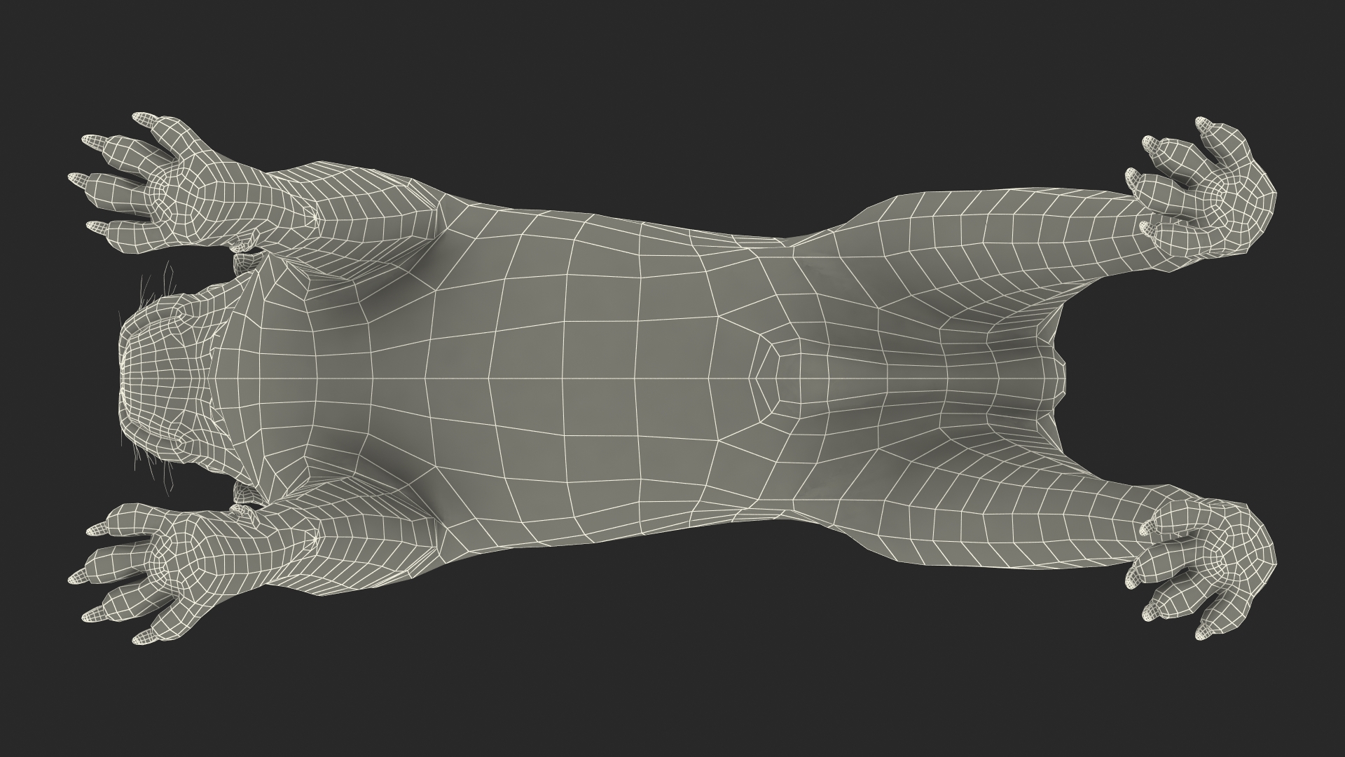 Pug Dog Rigged 3D model