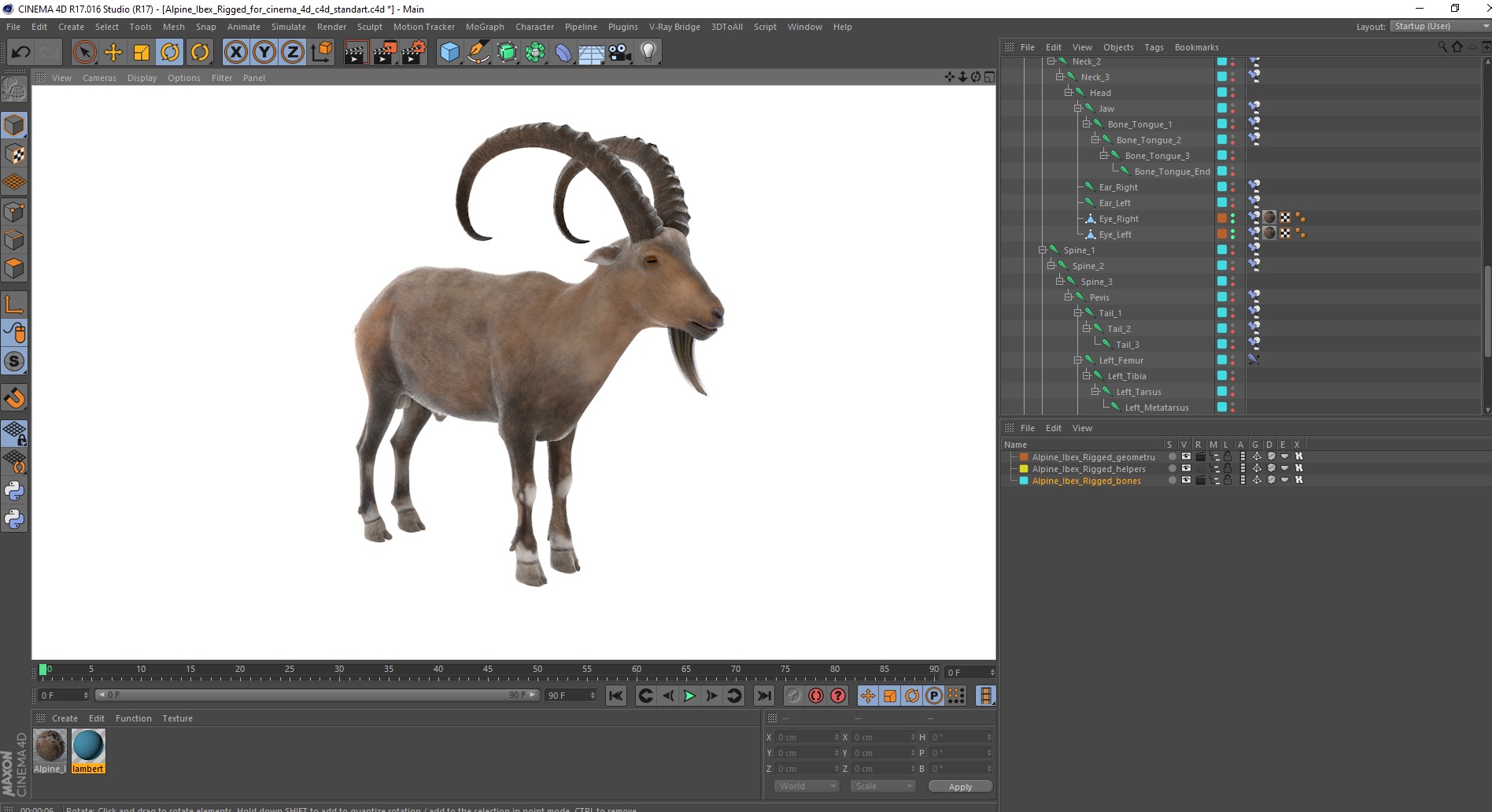 Alpine Ibex Rigged for Cinema 4D 3D