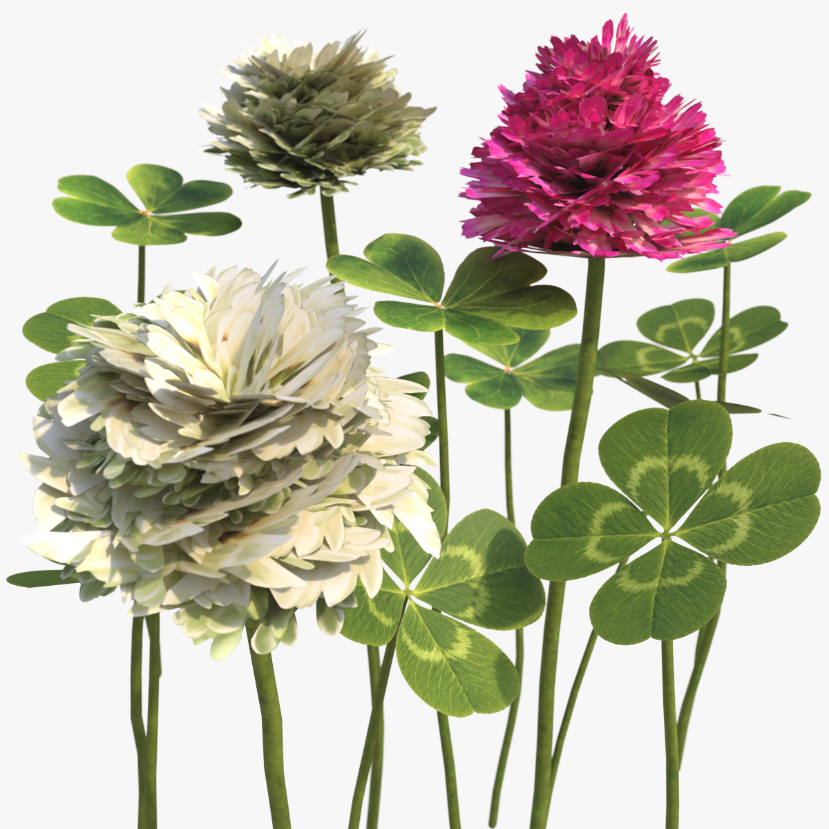 Low Poly Clover Flowers and Leaves Set Green 3D model preview