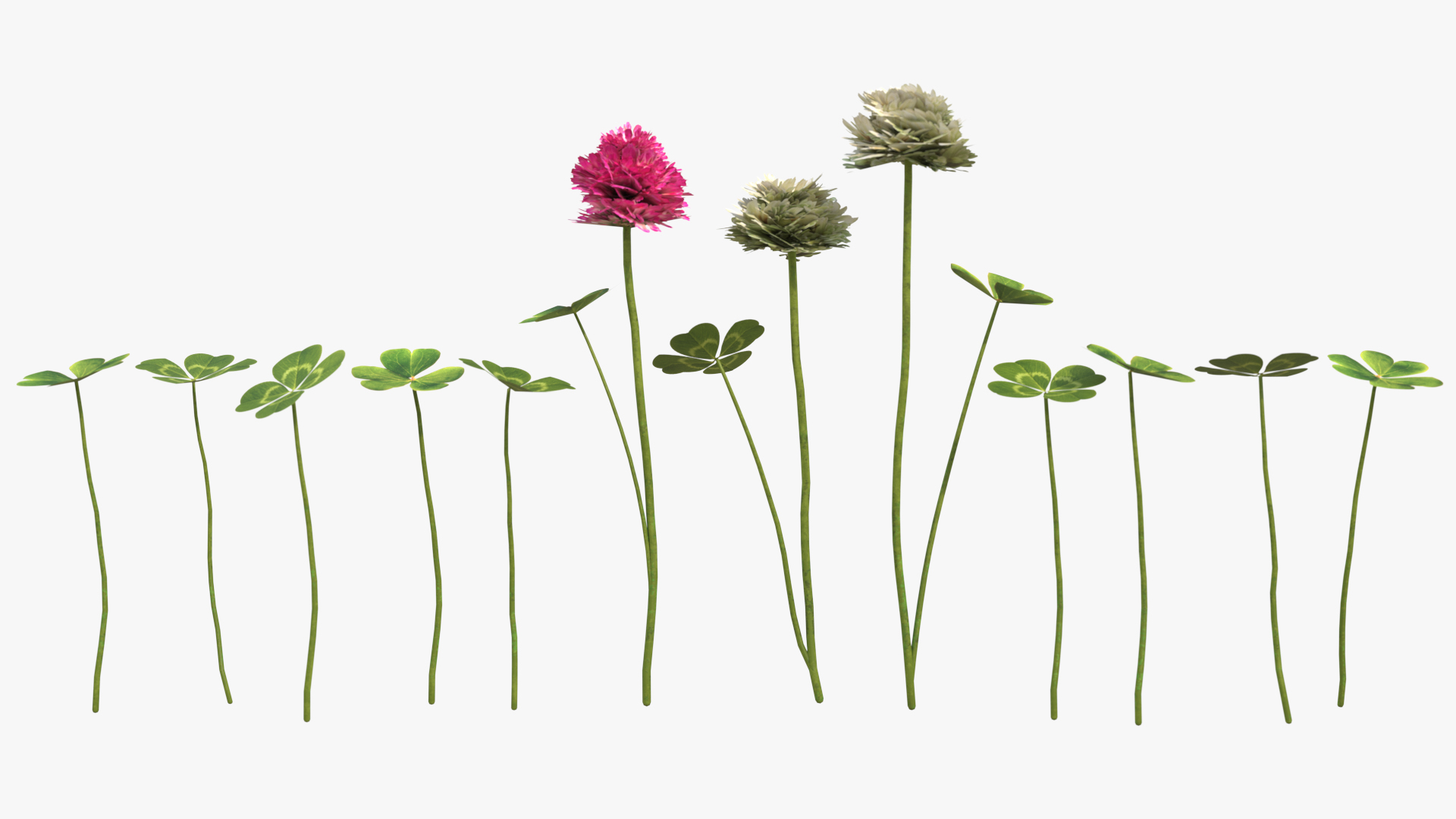Low Poly Clover Flowers and Leaves Set Green, view 3