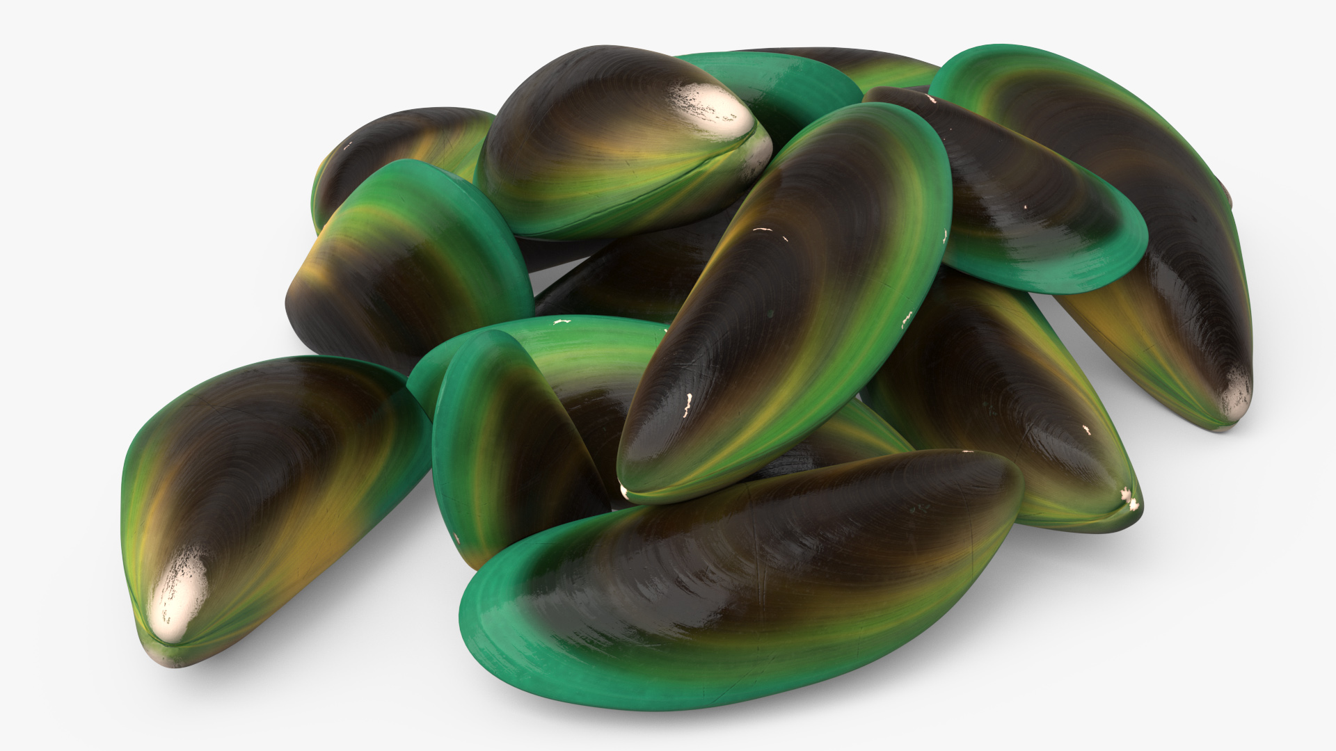 3D Pile of Green Lipped Clams