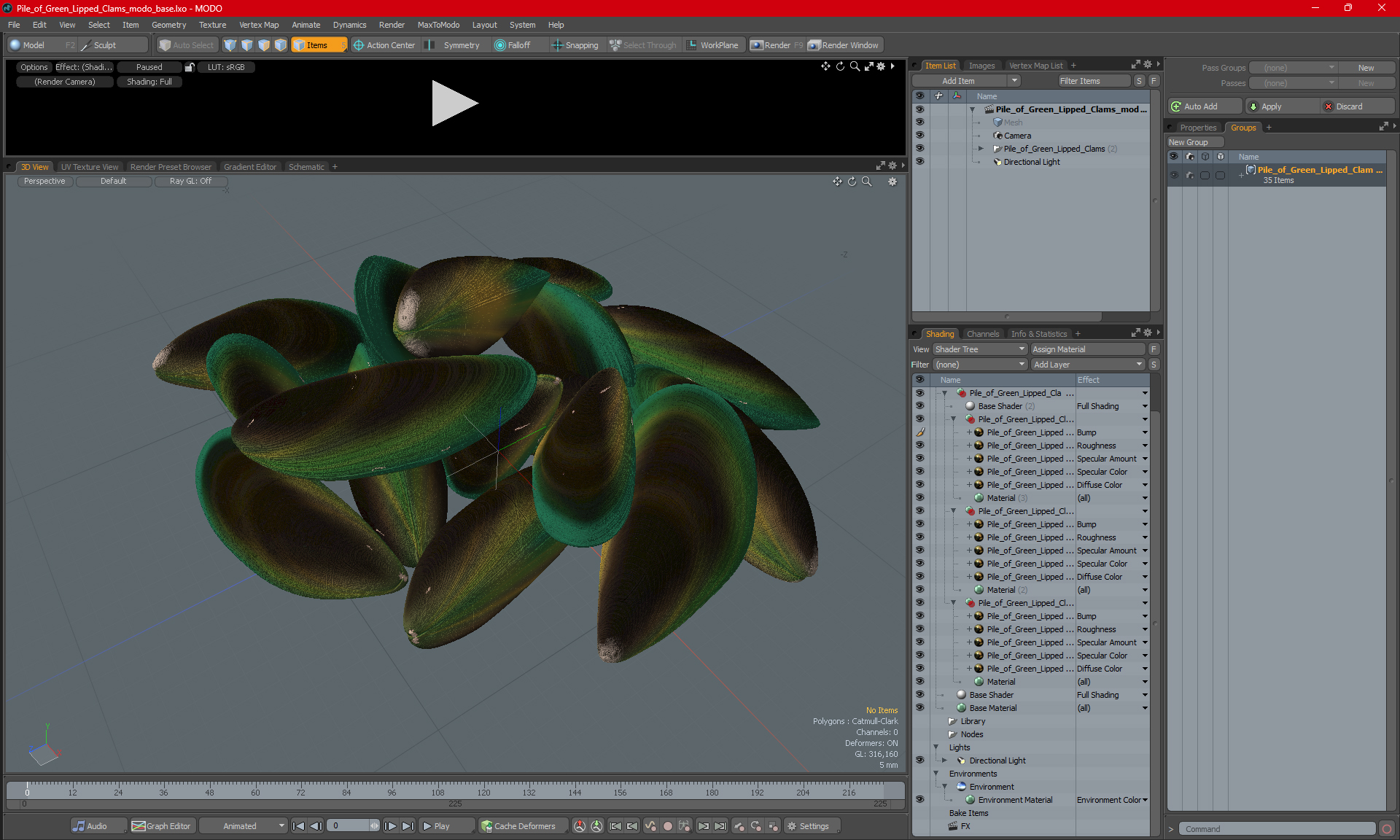 3D Pile of Green Lipped Clams