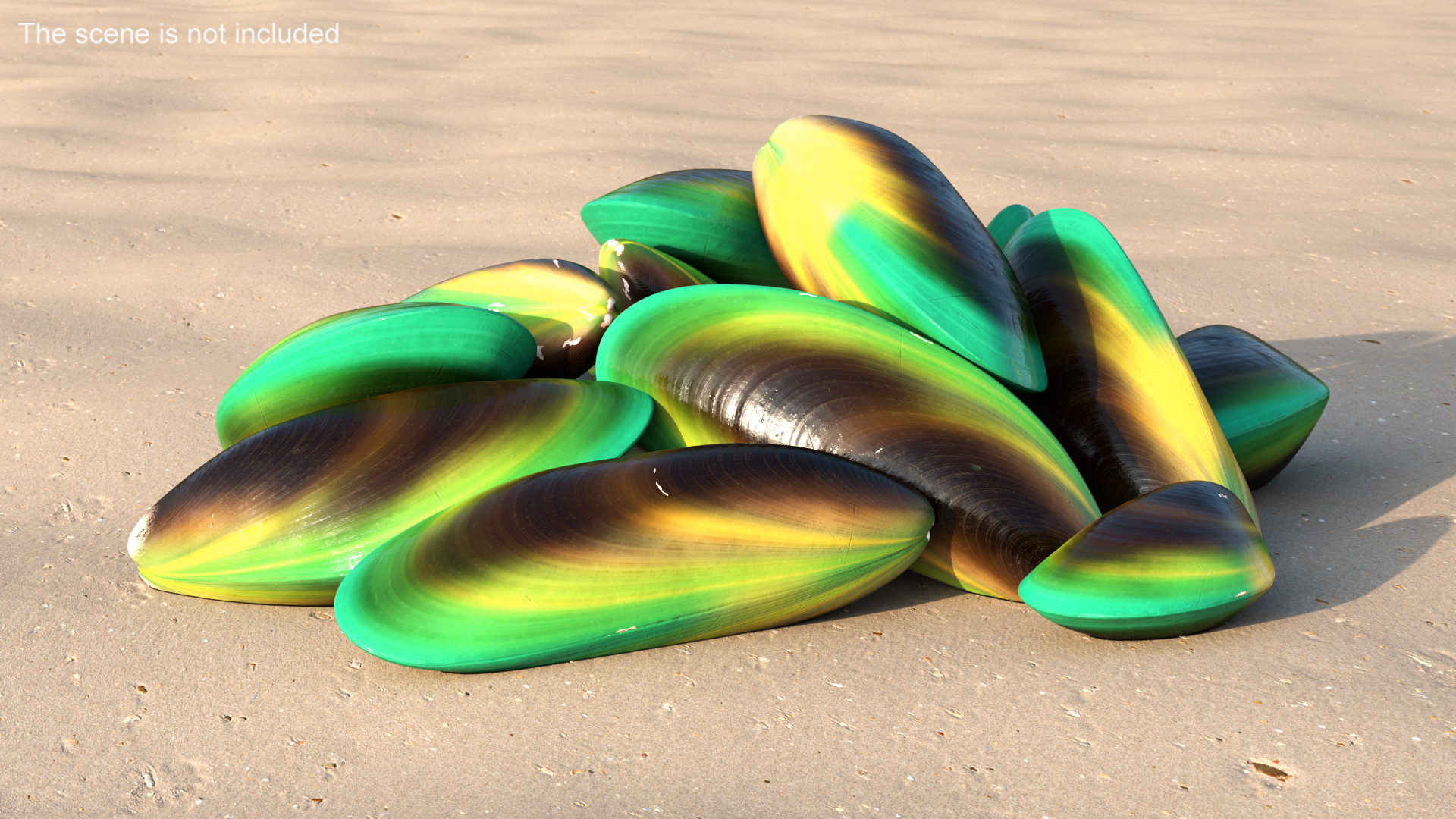 3D Pile of Green Lipped Clams
