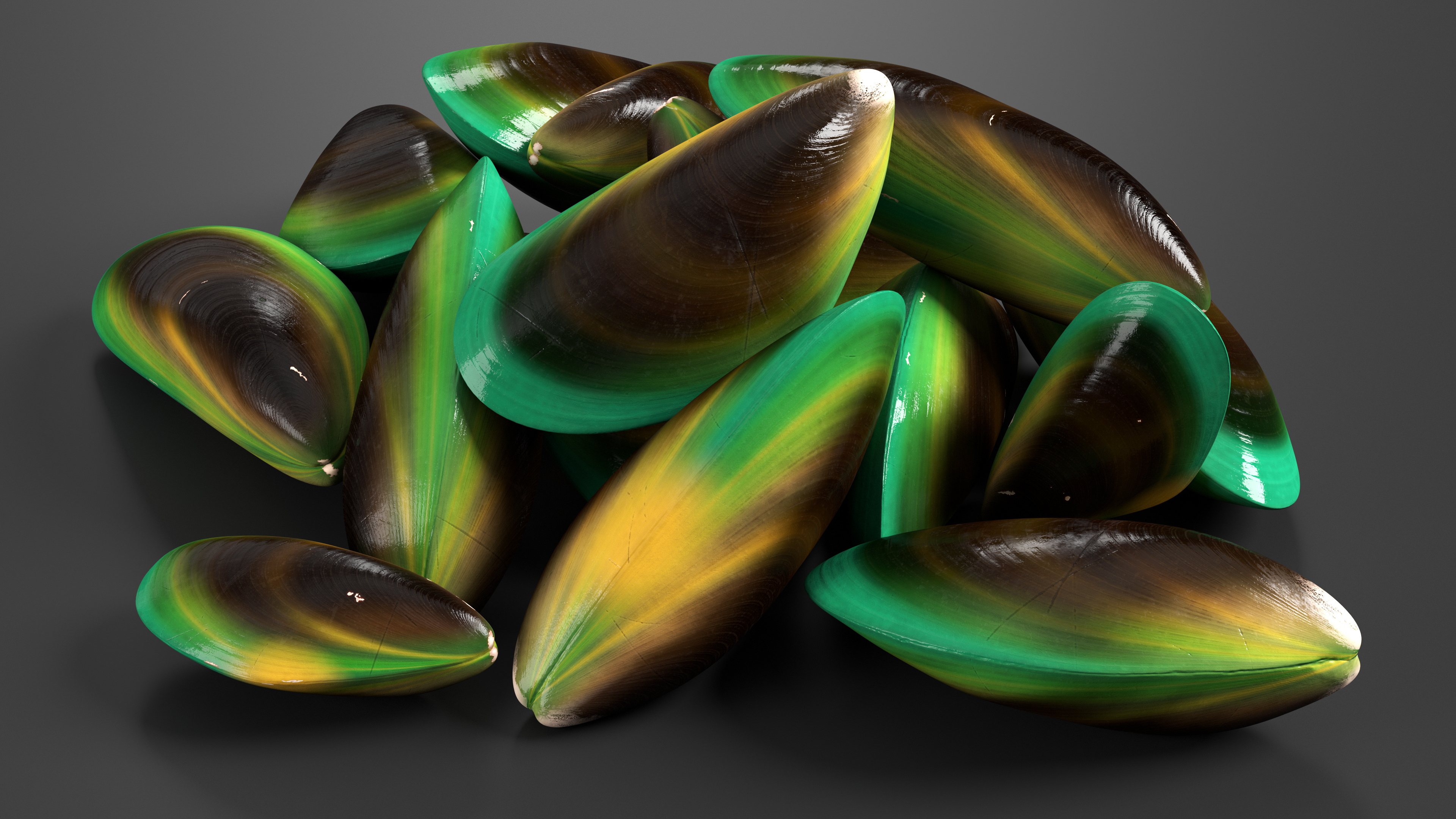 3D Pile of Green Lipped Clams