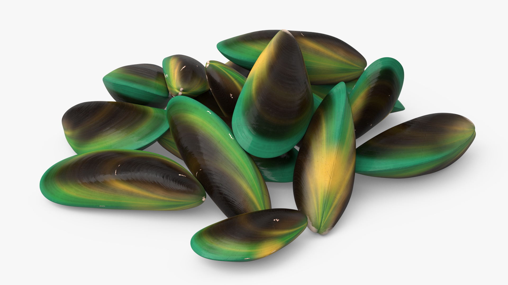 3D Pile of Green Lipped Clams