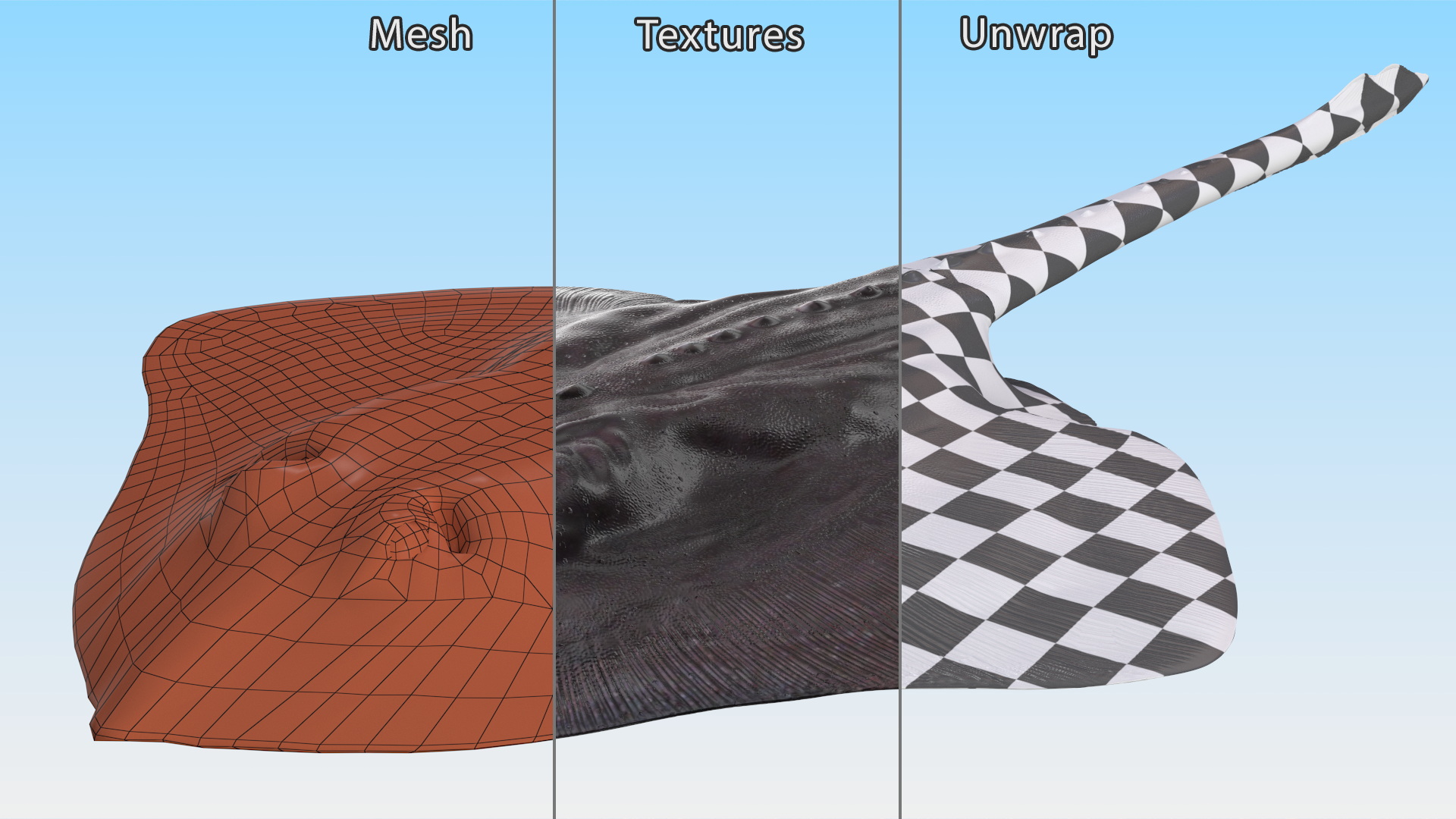 3D Bathyraja Lindbergi Gray Rigged