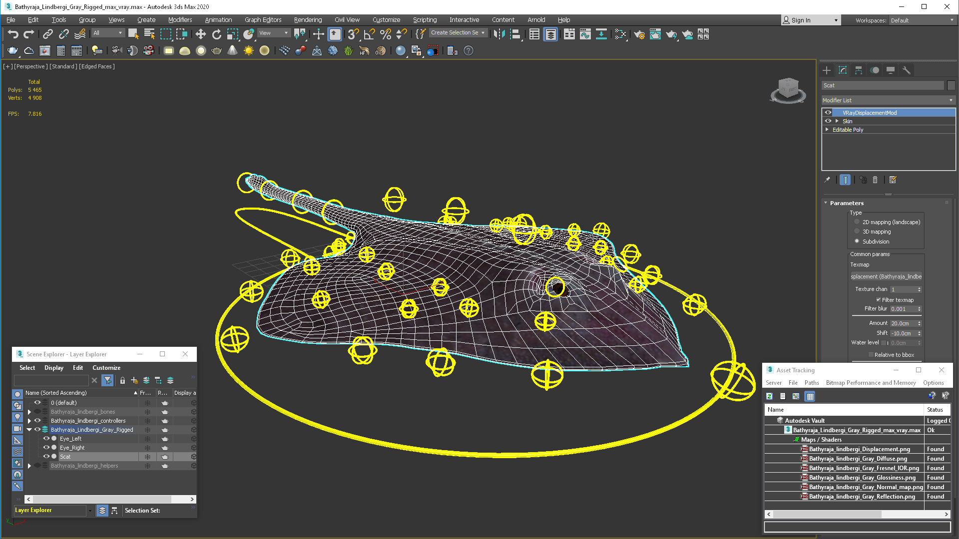 3D Bathyraja Lindbergi Gray Rigged