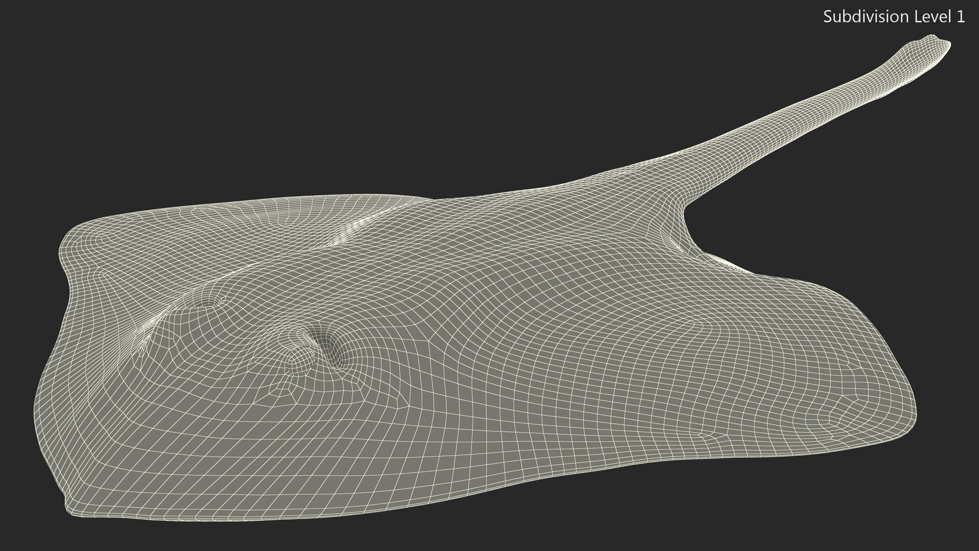3D Bathyraja Lindbergi Gray Rigged