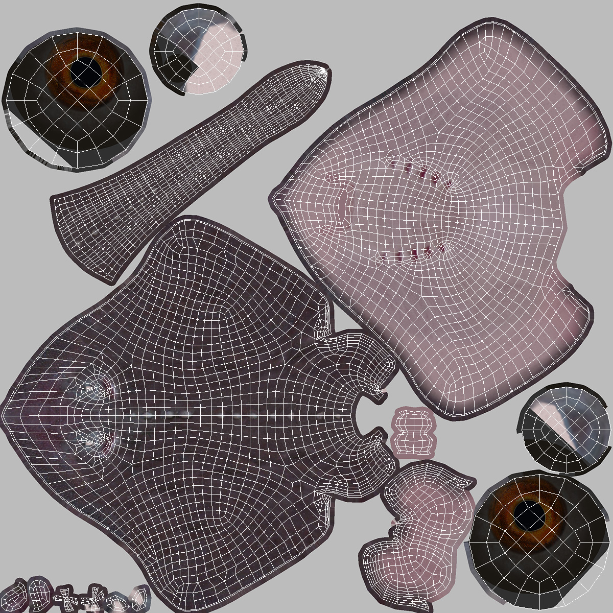 3D Bathyraja Lindbergi Gray Rigged