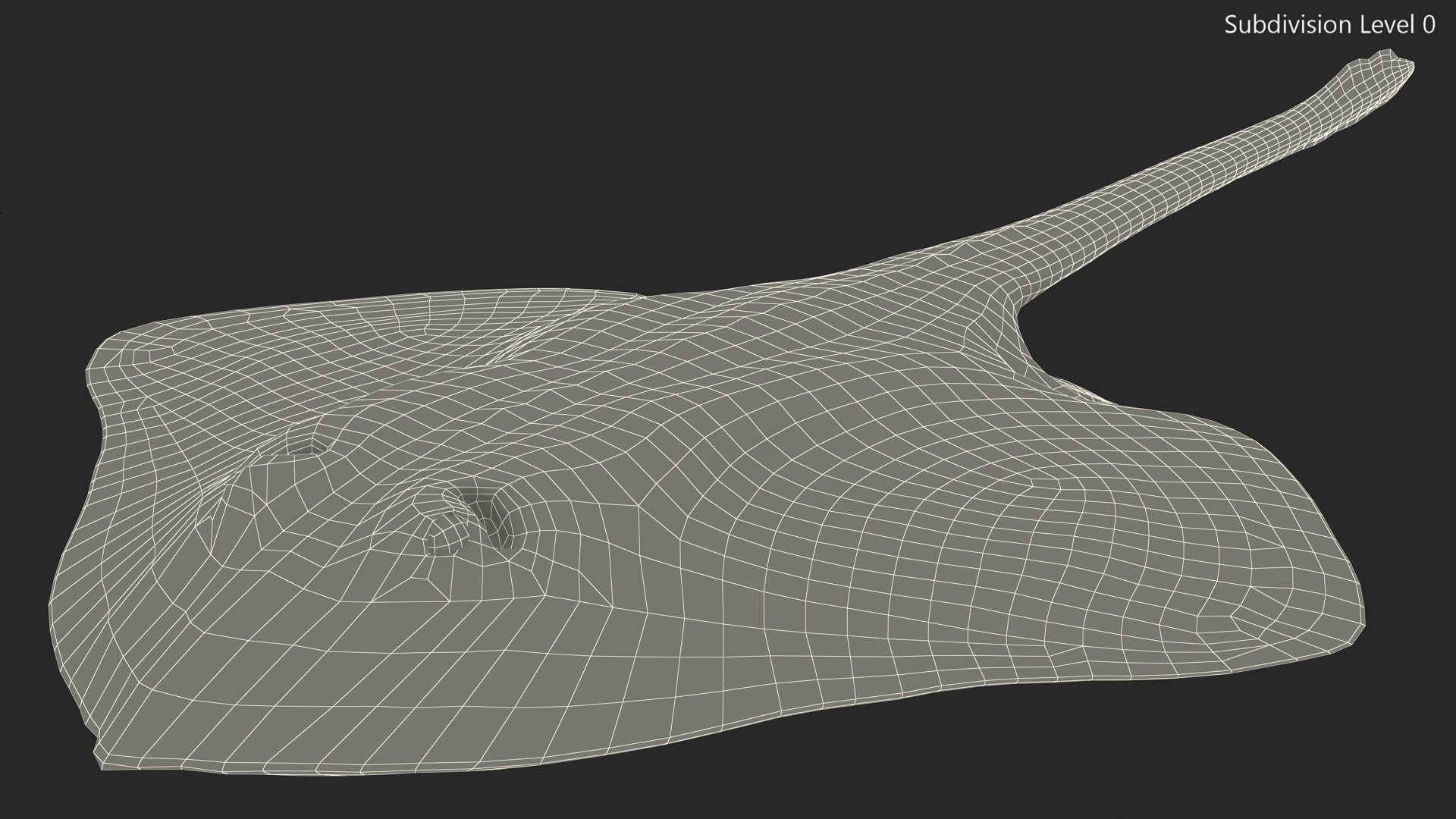 3D Bathyraja Lindbergi Gray Rigged