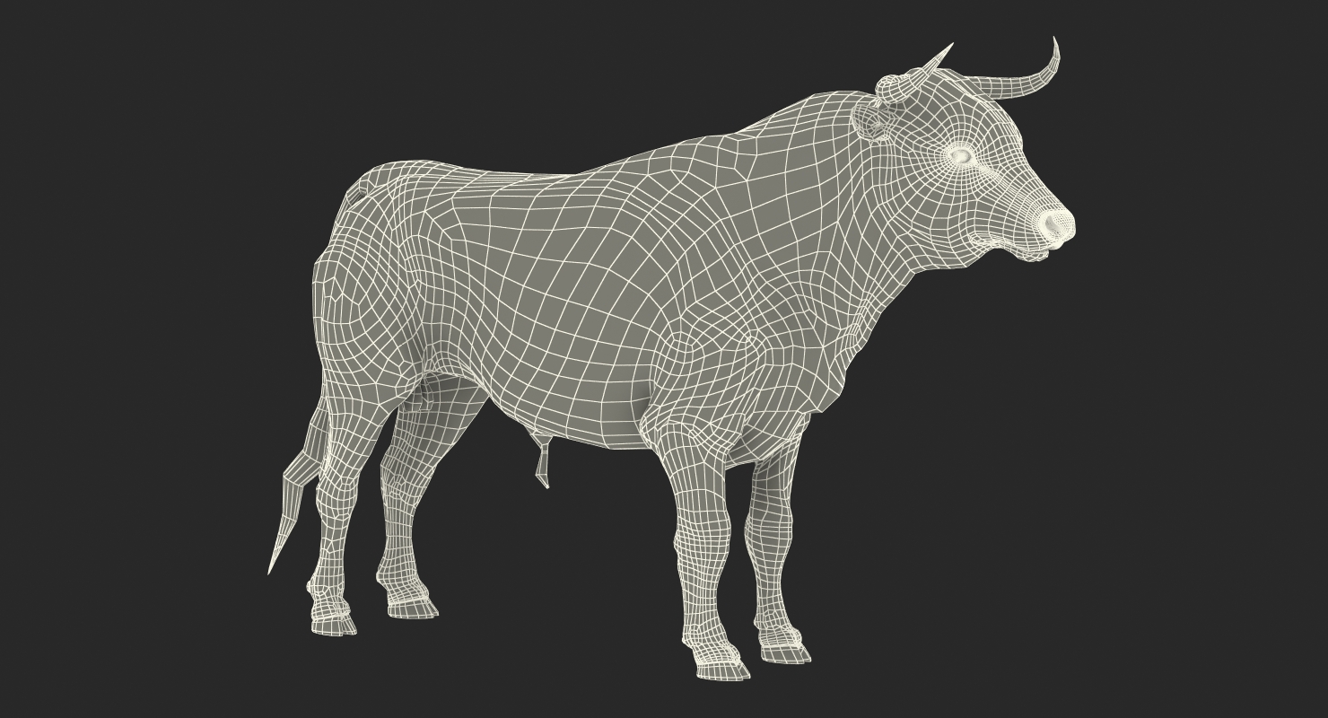 3D Bull with Fur model