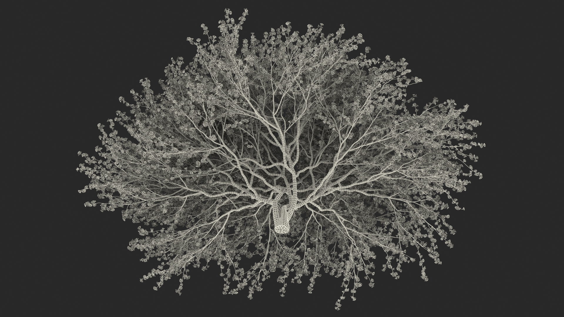 3D Flowering Purple Leaf Plum Tree