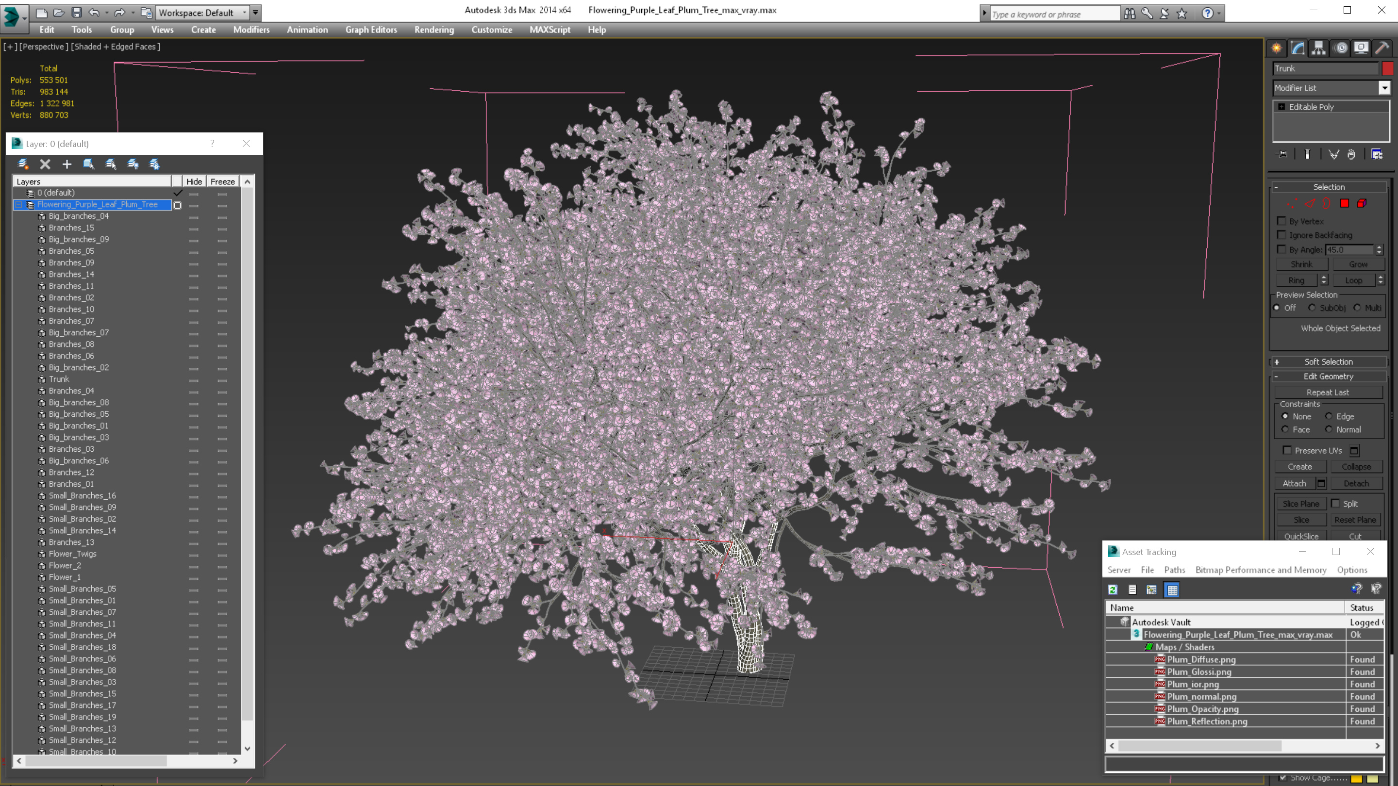 3D Flowering Purple Leaf Plum Tree