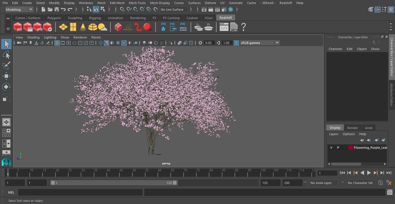 3D Flowering Purple Leaf Plum Tree