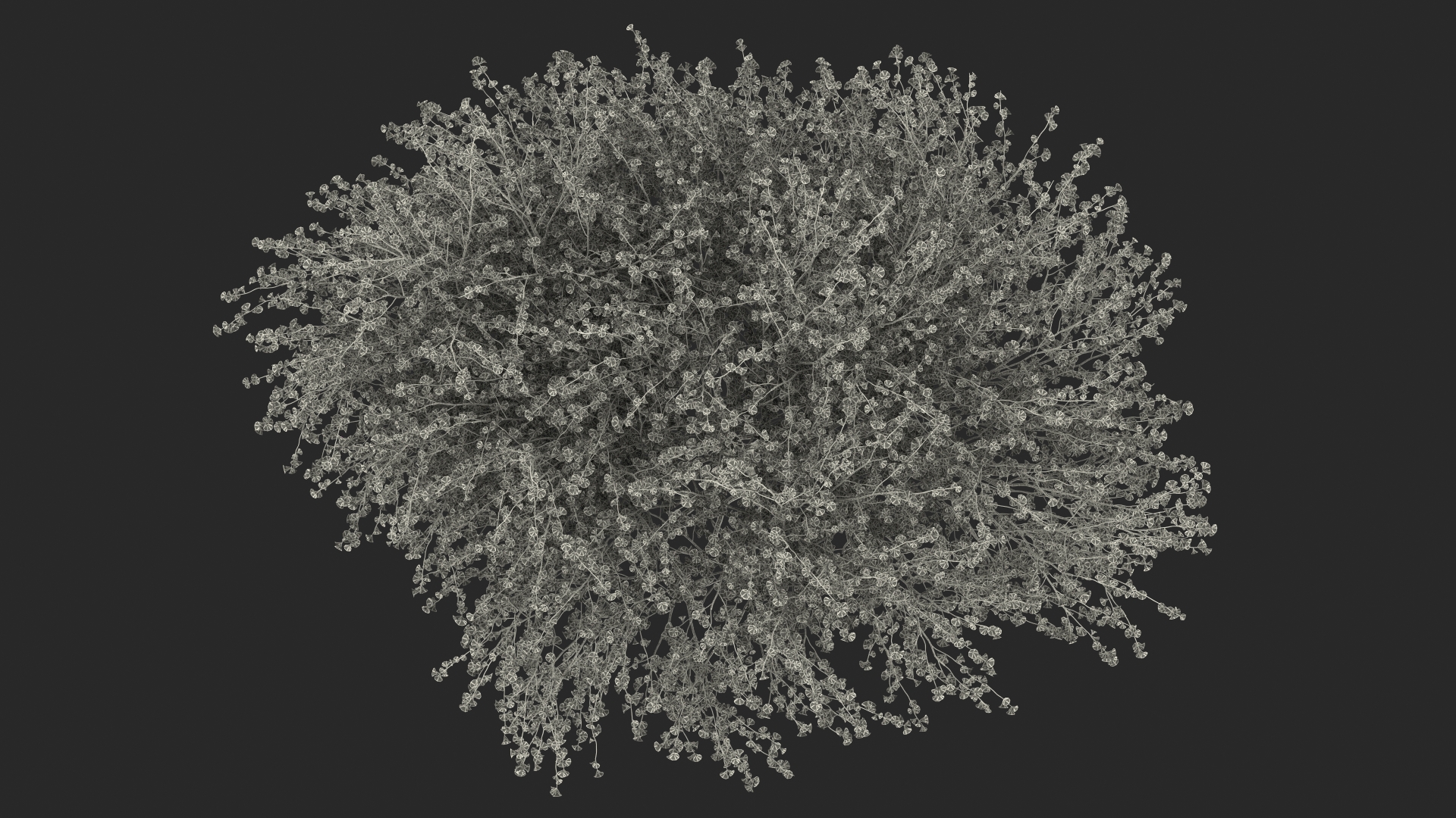 3D Flowering Purple Leaf Plum Tree