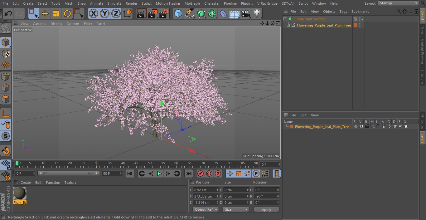 3D Flowering Purple Leaf Plum Tree