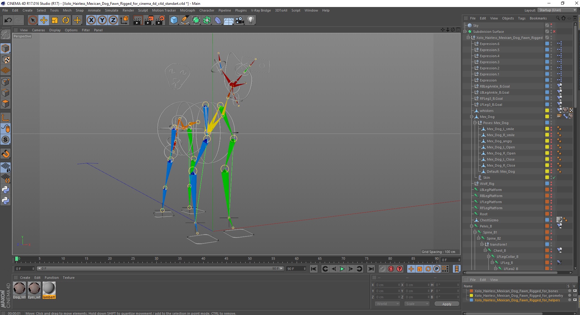 3D Xolo Hairless Mexican Dog Fawn Rigged for Cinema 4D