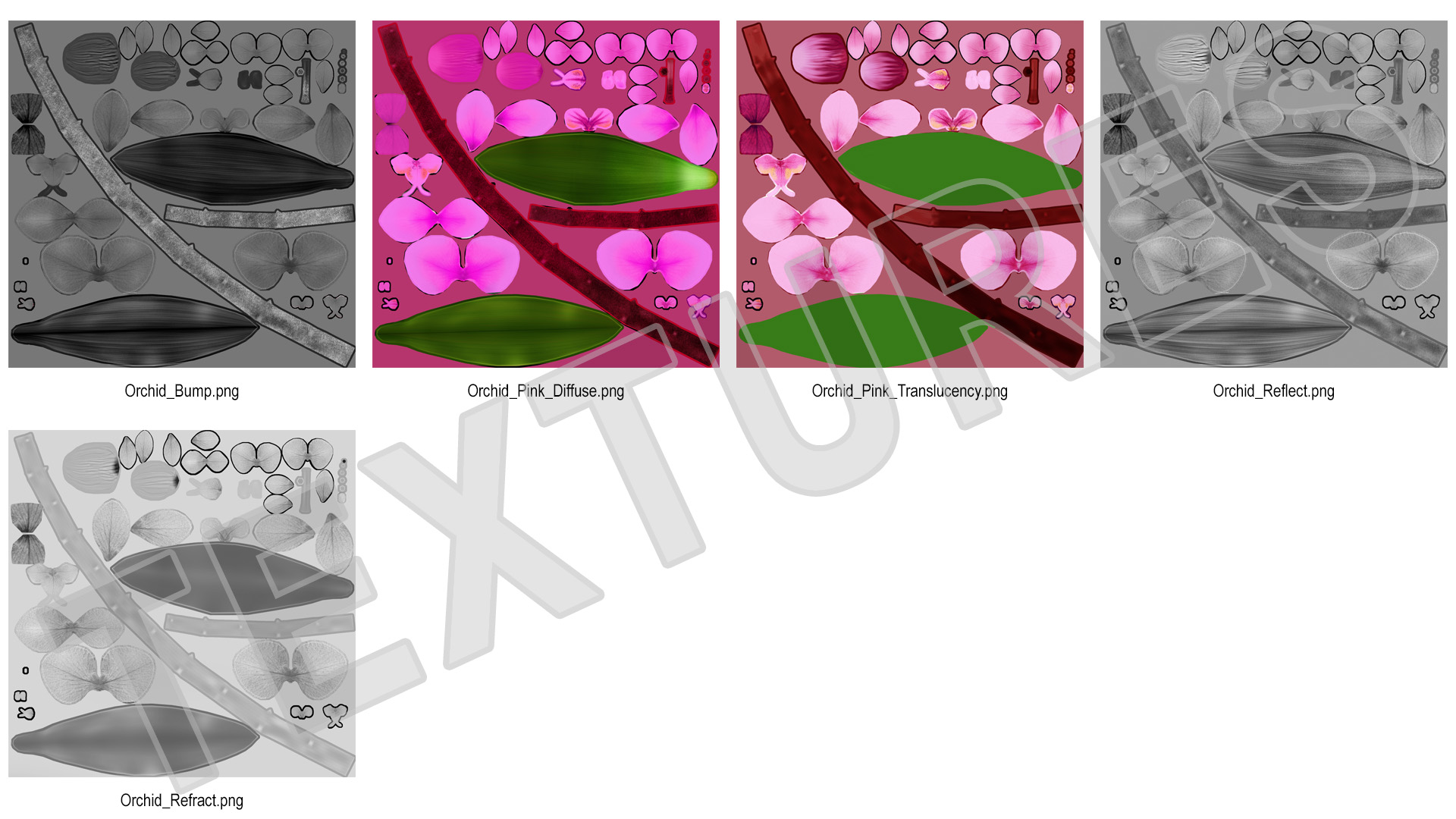 3D model Small Stem of Pink Orchid