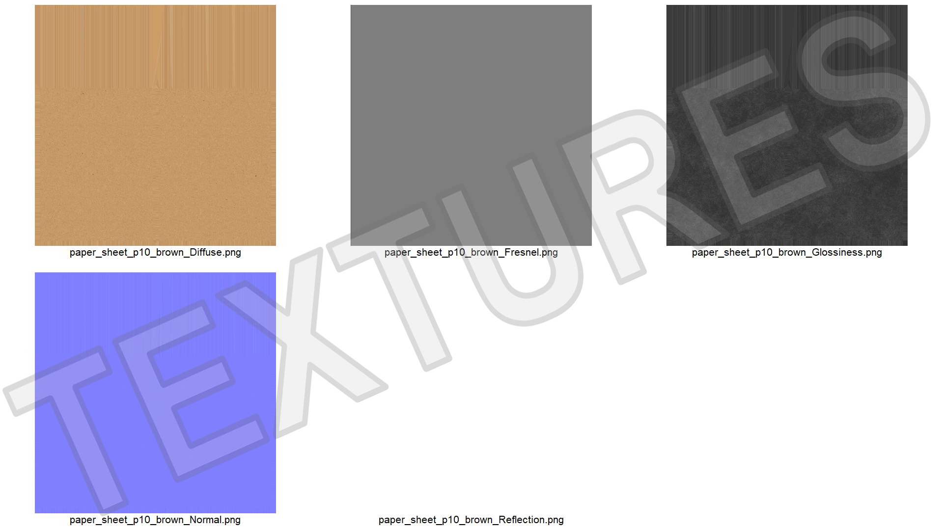 Curled Brown Paper Sheet 3D model