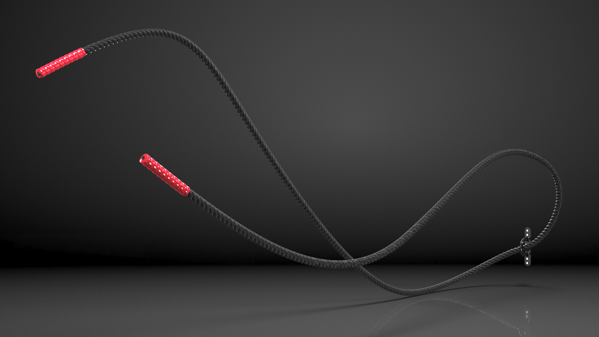 3D model Pure2Improve Battle Rope with Wall Mount