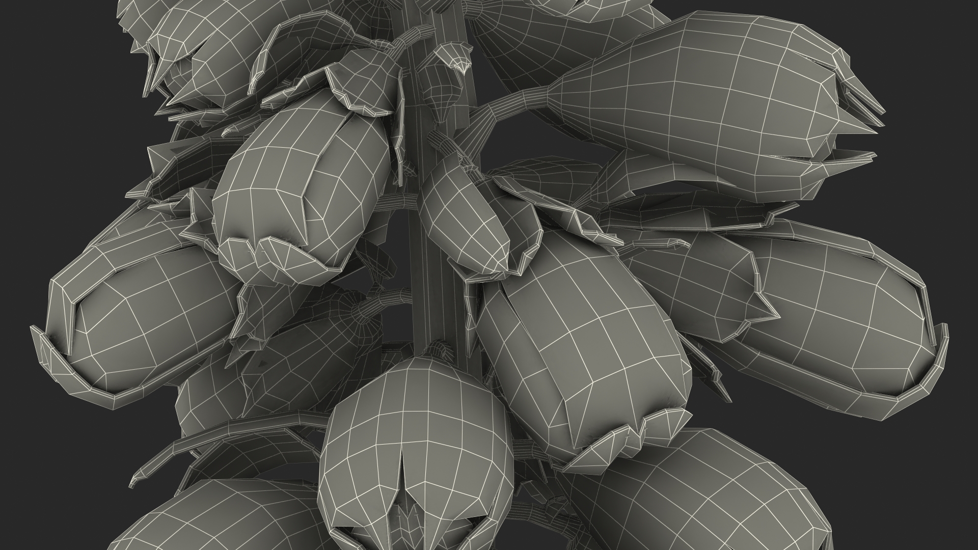 3D Digitalis Purpurea Albiflora model