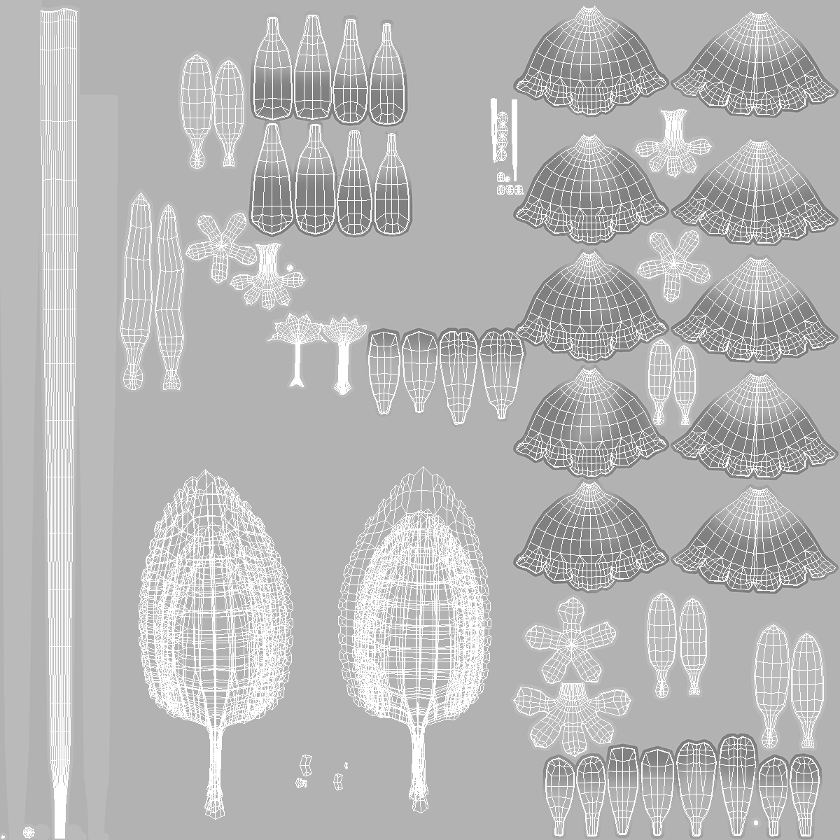 3D Digitalis Purpurea Albiflora model