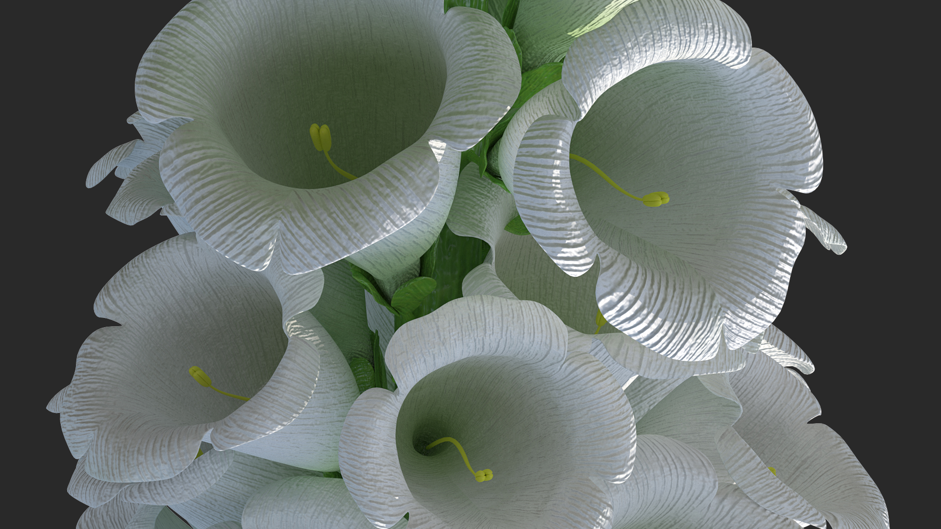3D Digitalis Purpurea Albiflora model