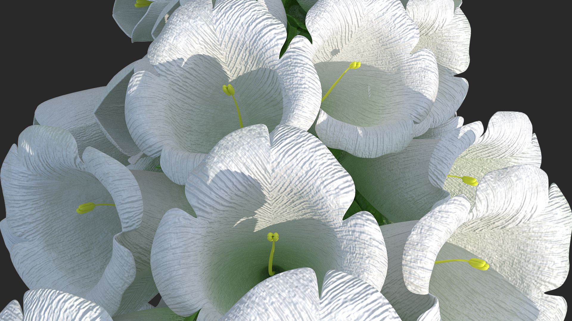 3D Digitalis Purpurea Albiflora model