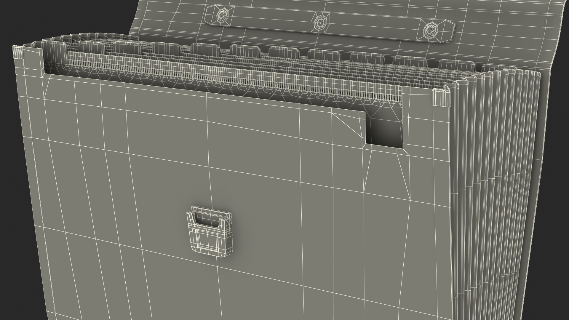 3D Green Expanding Document Holder Open