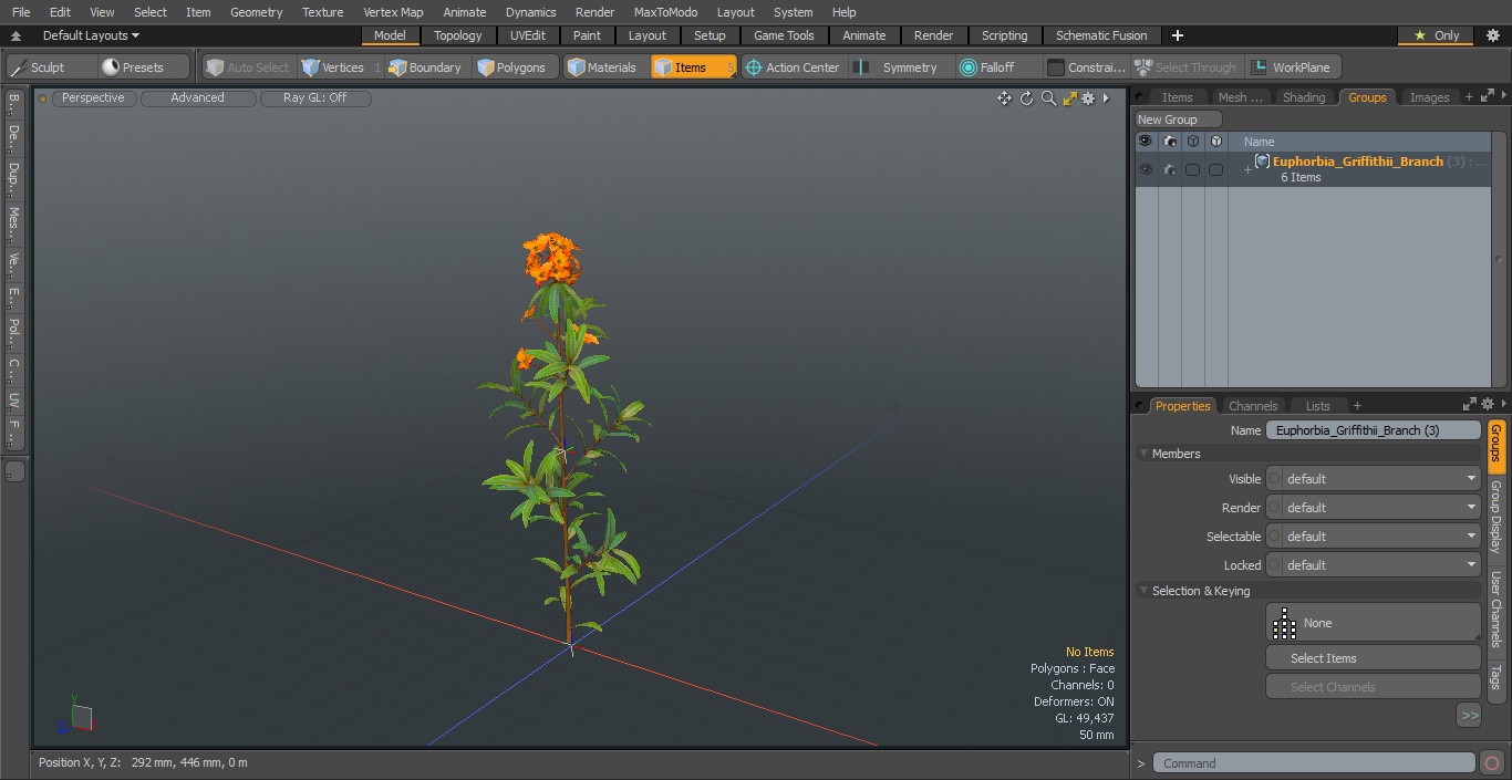 Euphorbia Griffithii Branch 3D