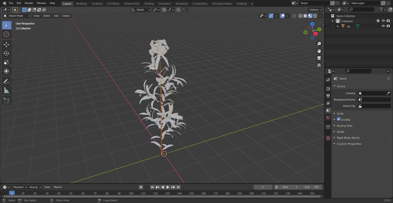 Euphorbia Griffithii Branch 3D