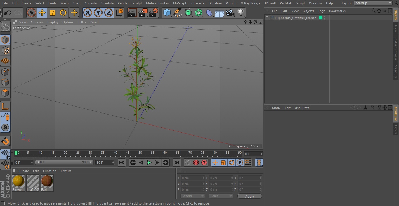 Euphorbia Griffithii Branch 3D