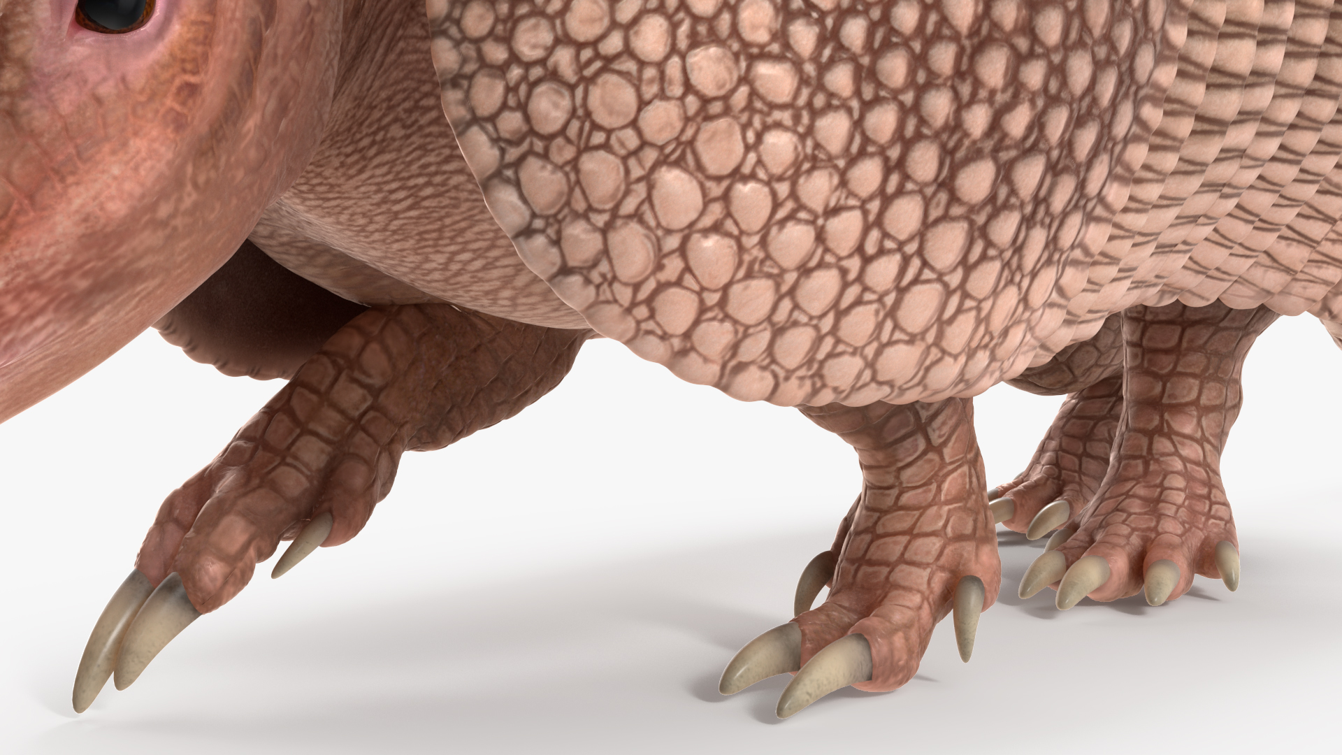 3D model Armadillo in Walking Pose Pink