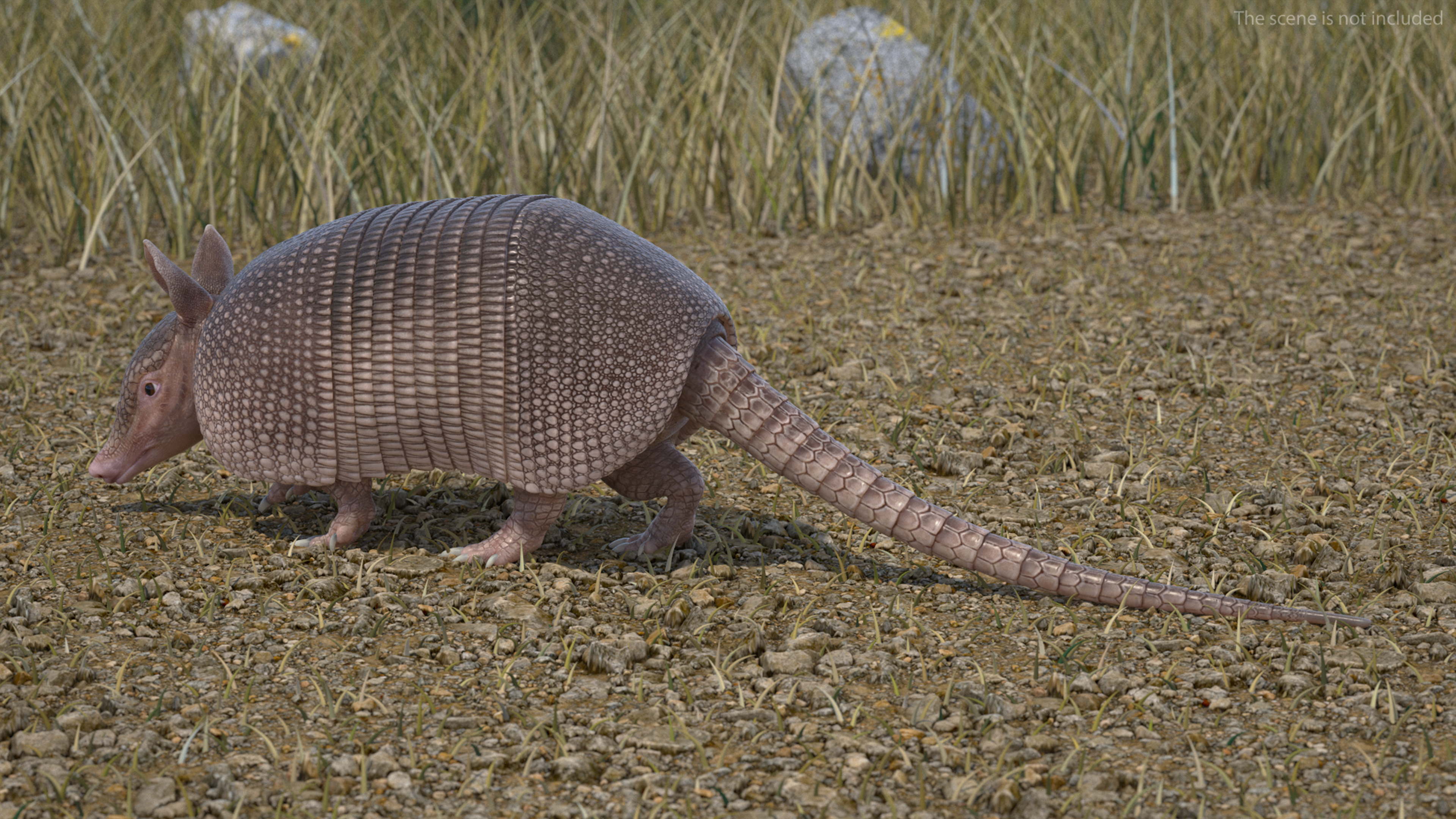 3D model Armadillo in Walking Pose Pink