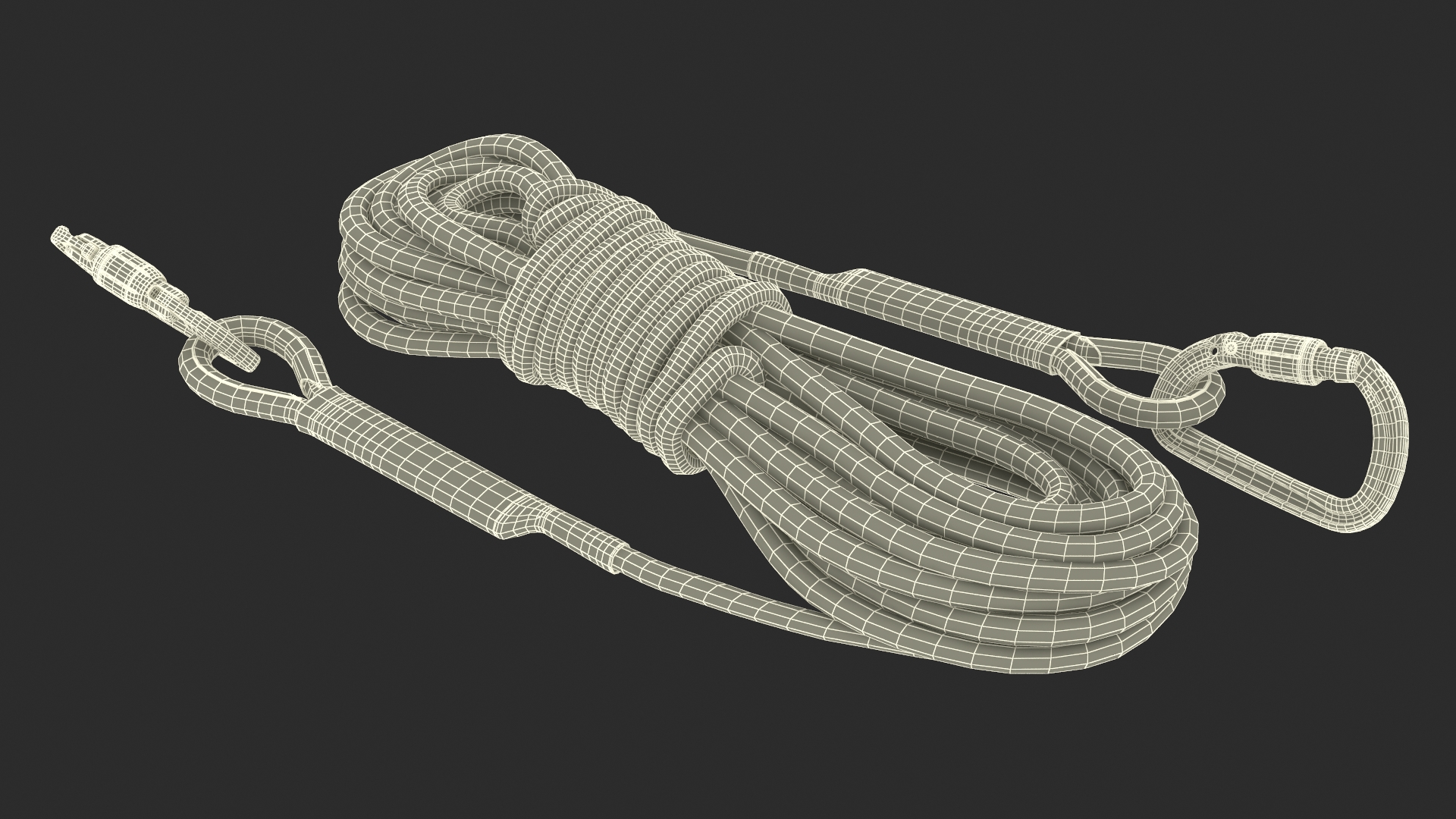 3D Climbing Rope with Carabiner model