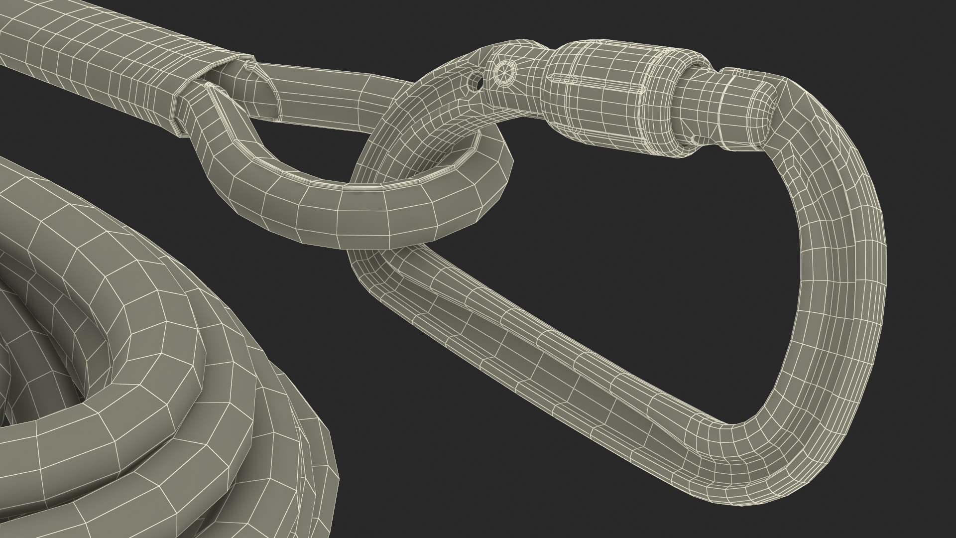3D Climbing Rope with Carabiner model