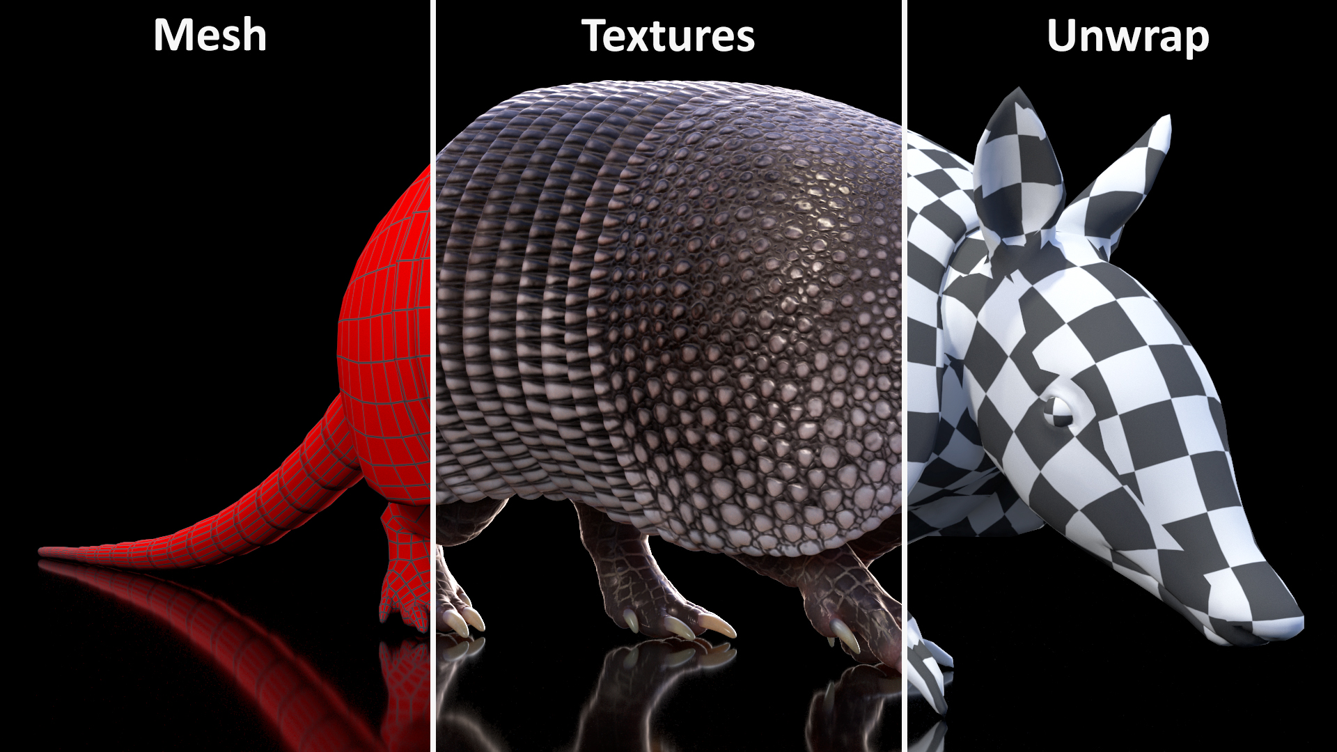 3D Armadillo in Walking Pose Black