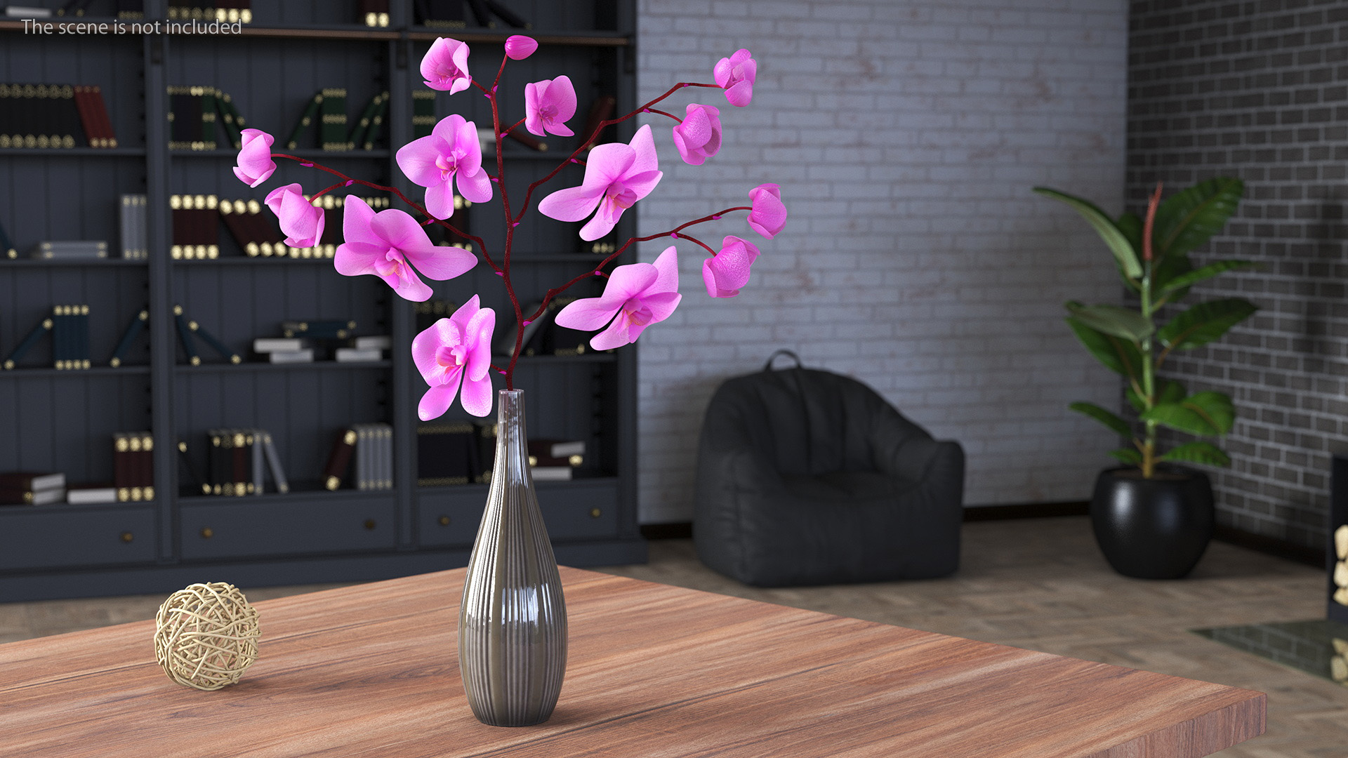 3D model Phalaenopsis Pink Orchid Stem in Ceramic Vase