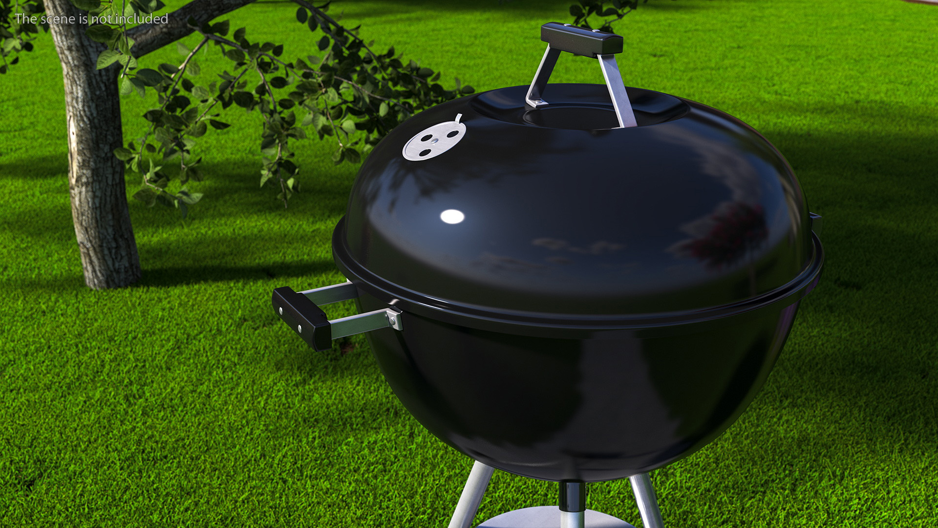3D Charcoal Kettle Grill