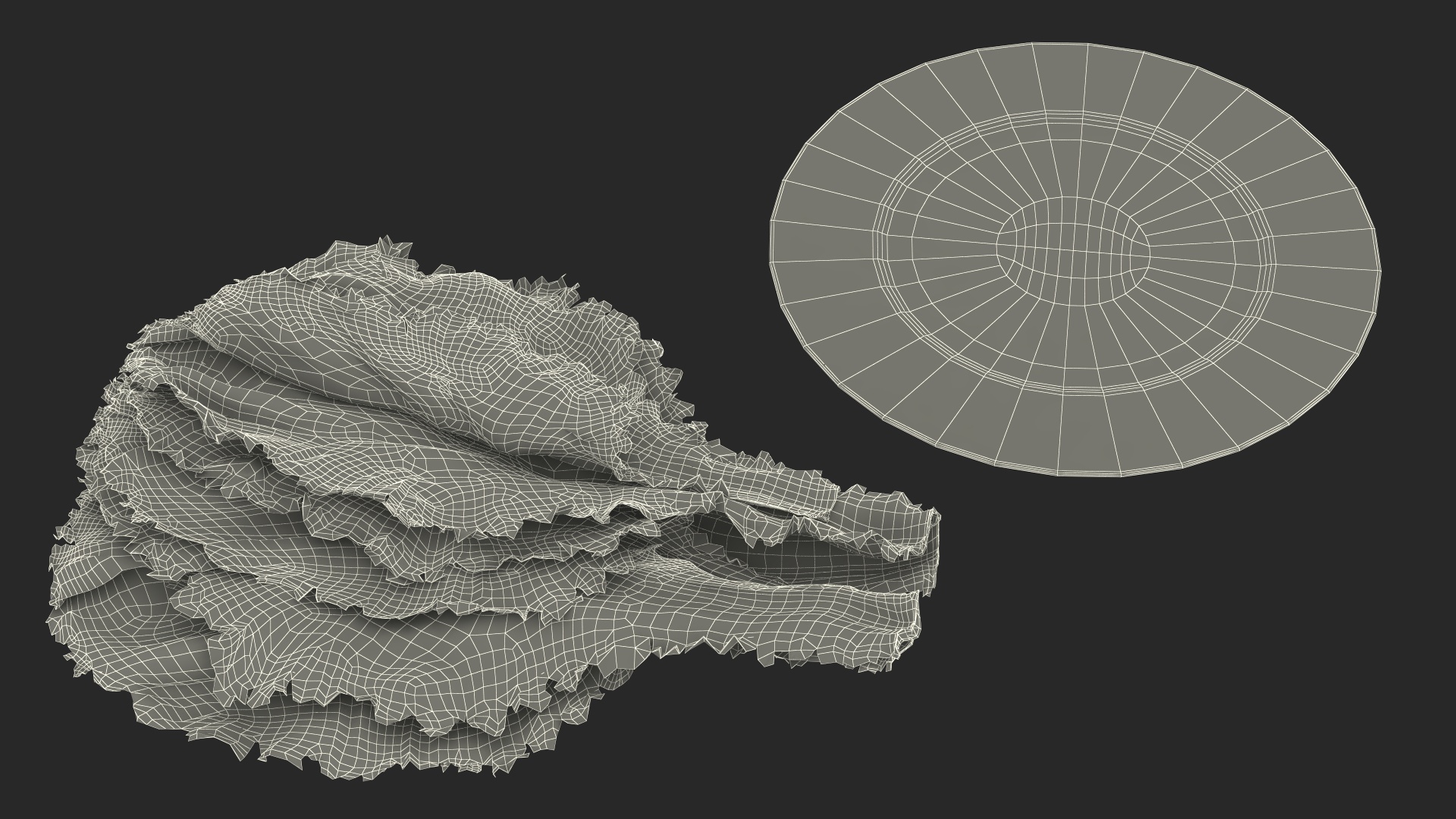 3D Lettuce Leaves on Plate model